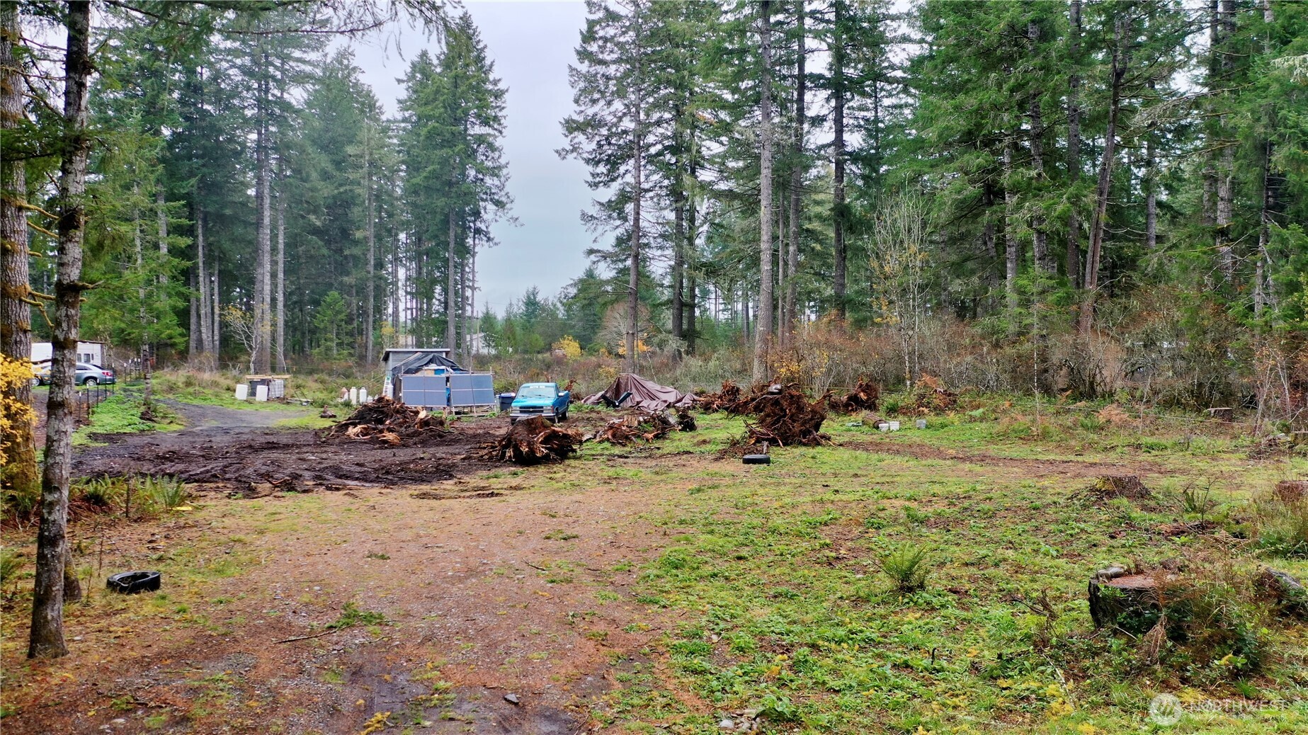 151 West Buck Prairie Road Elma, WA 98541 - Photo 13 of 13