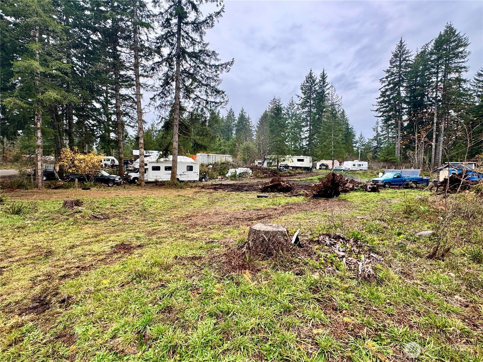 151 West Buck Prairie Road Elma, WA 98541 - Photo 5 of 13