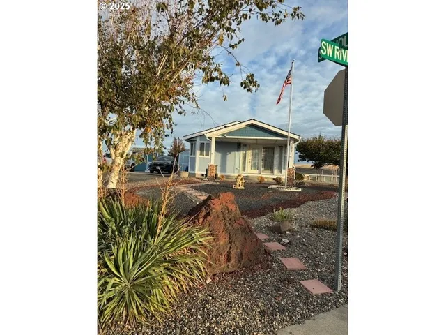 a view of a yard with plants and a table