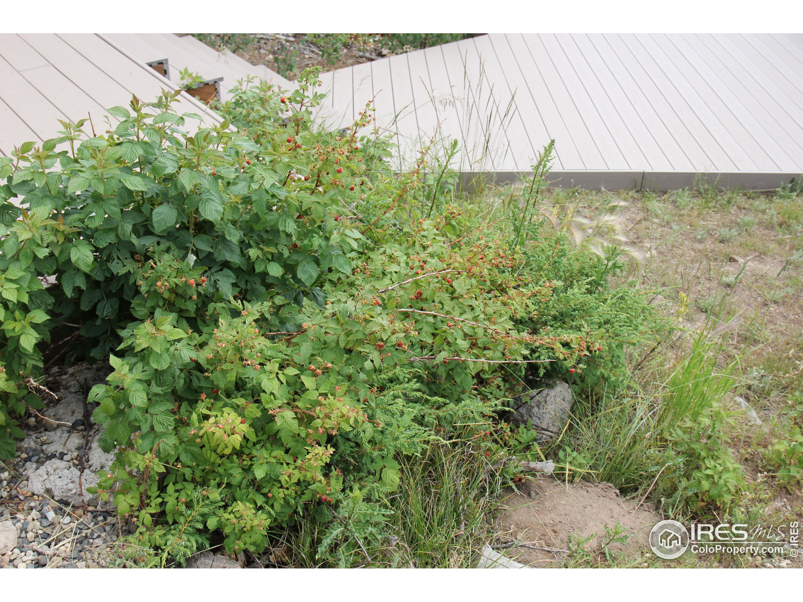 6026 County Road Cowdrey, CO 80434 - Photo 36 of 40