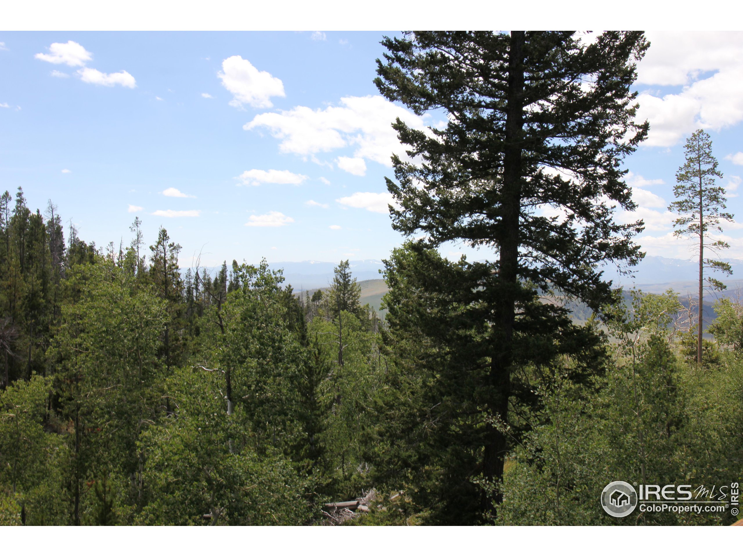 6026 County Road Cowdrey, CO 80434 - Photo 7 of 40