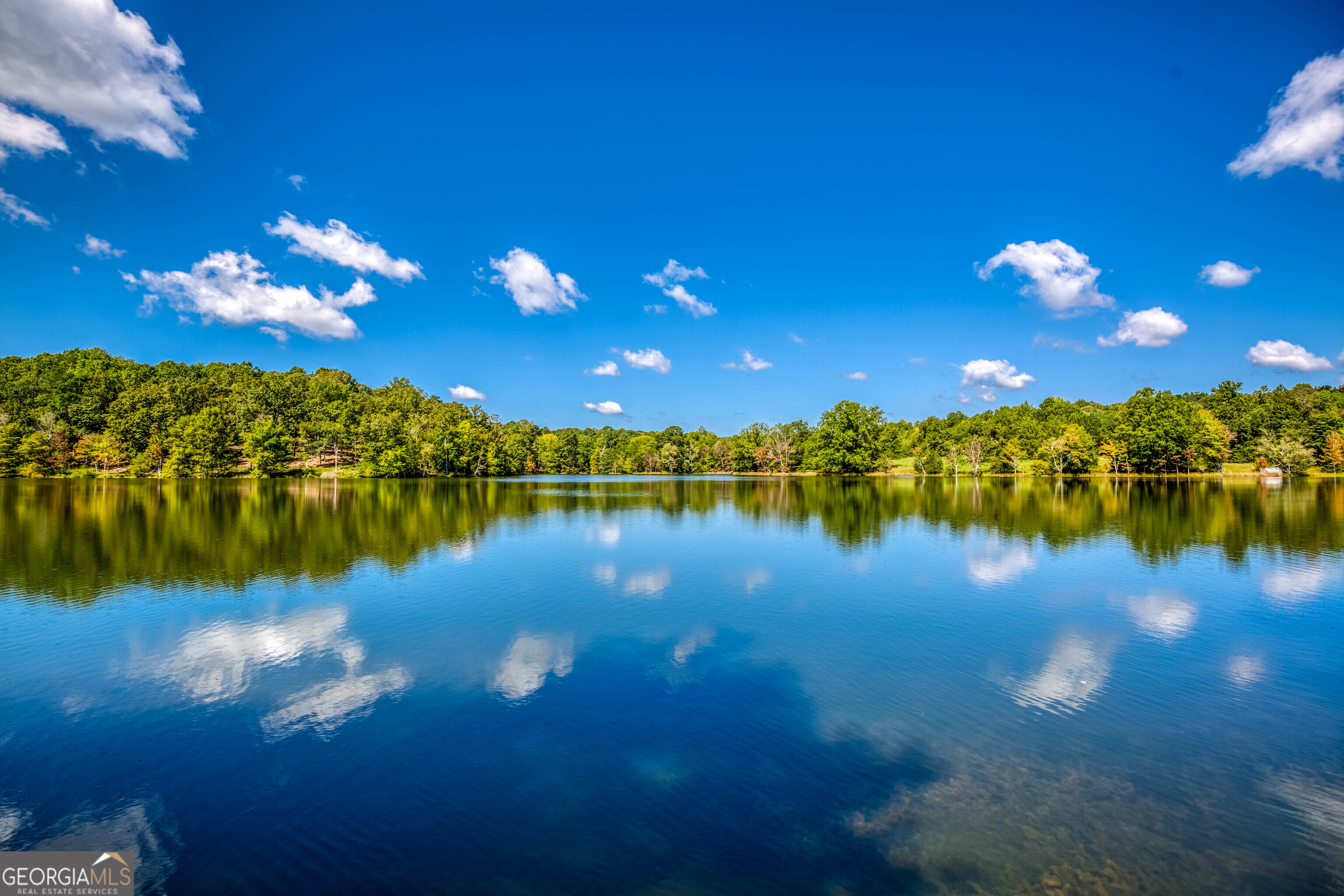 2688 Calhoun Falls Highway Elberton, GA 30635 - Photo 12 of 55 a view of a lake in the house along with trees