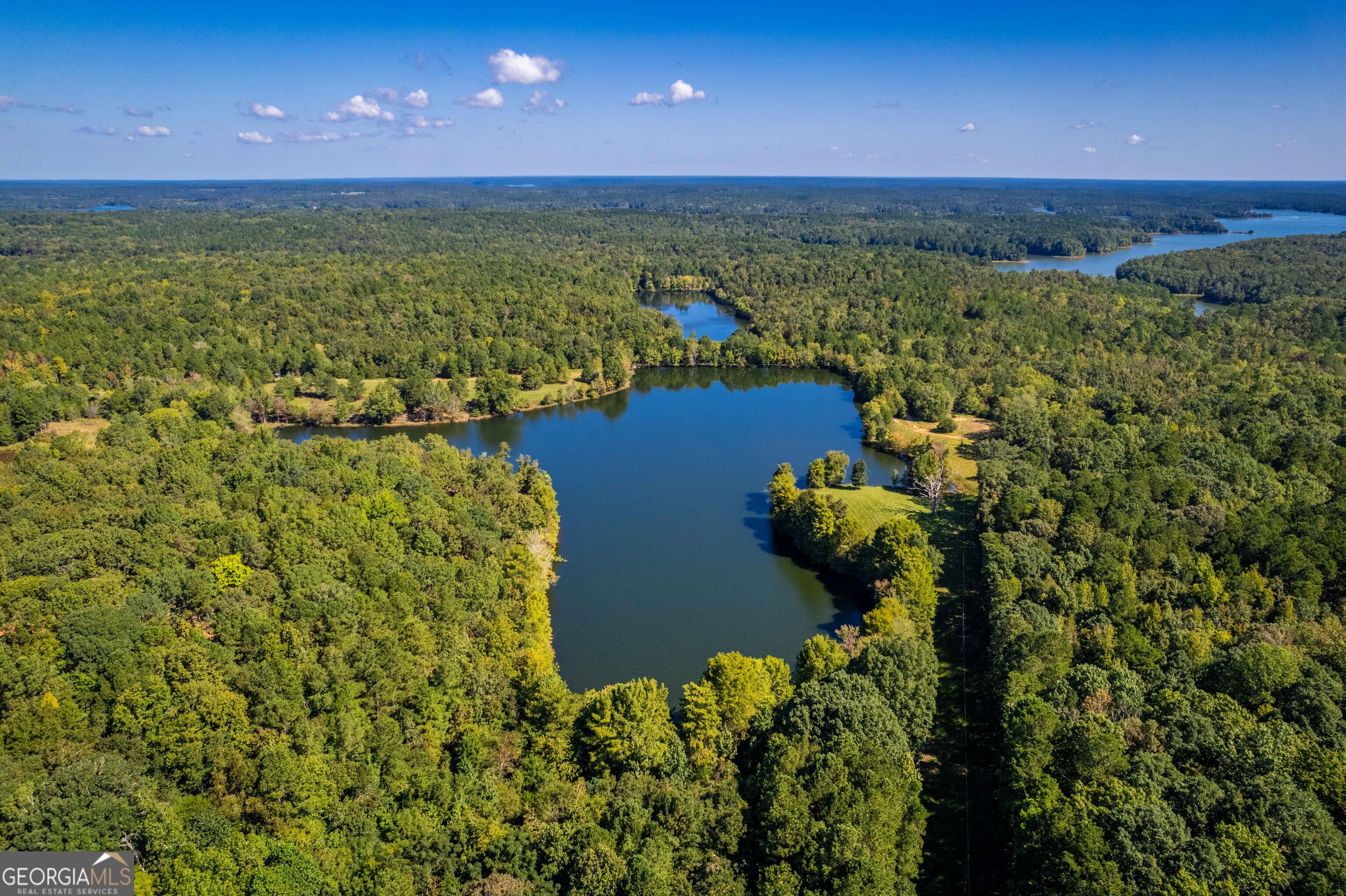 2688 Calhoun Falls Highway Elberton, GA 30635 - Photo 13 of 55 a view of a lake with a yard