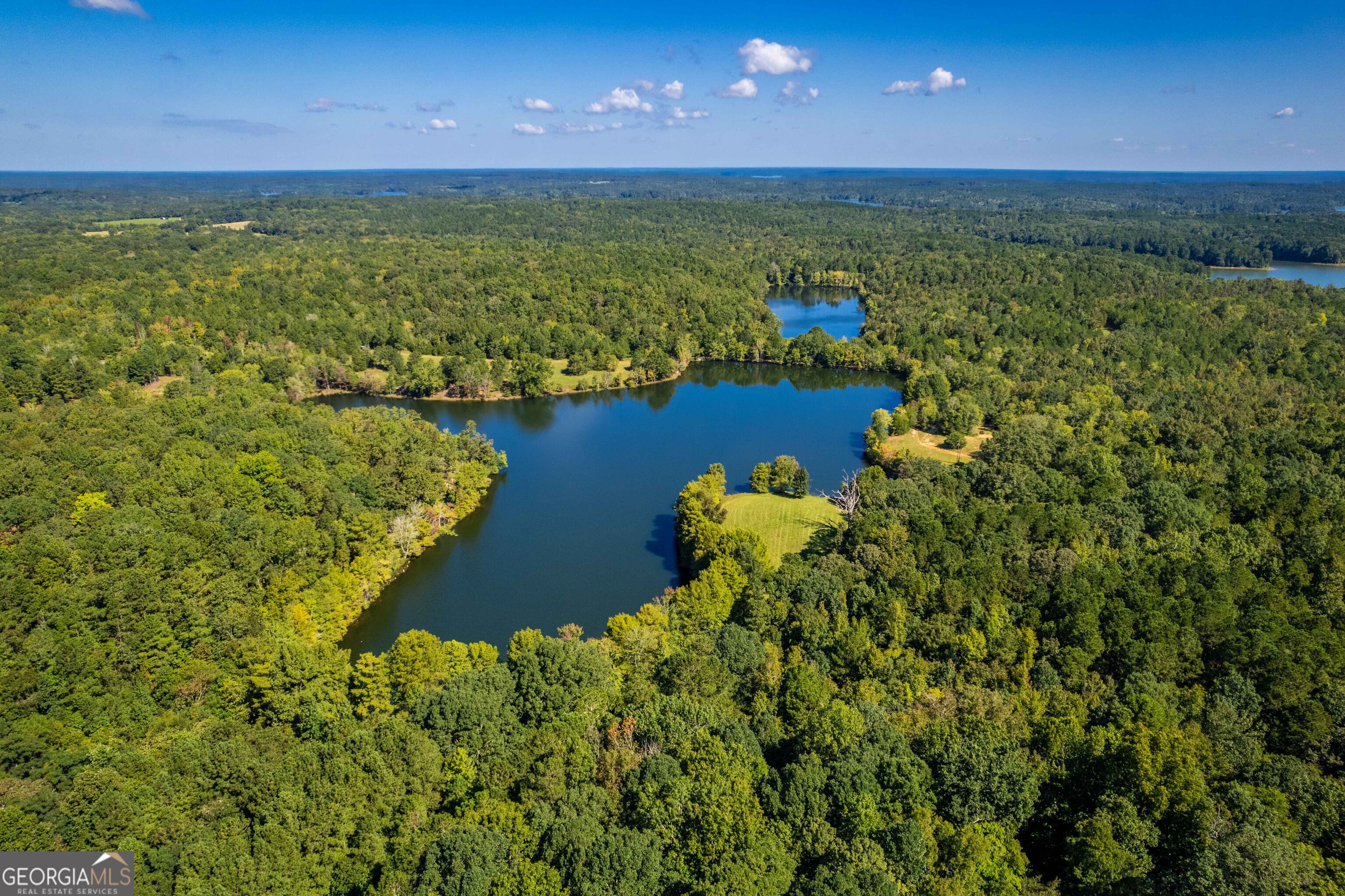 2688 Calhoun Falls Highway Elberton, GA 30635 - Photo 14 of 55 a view of a lake from a yard