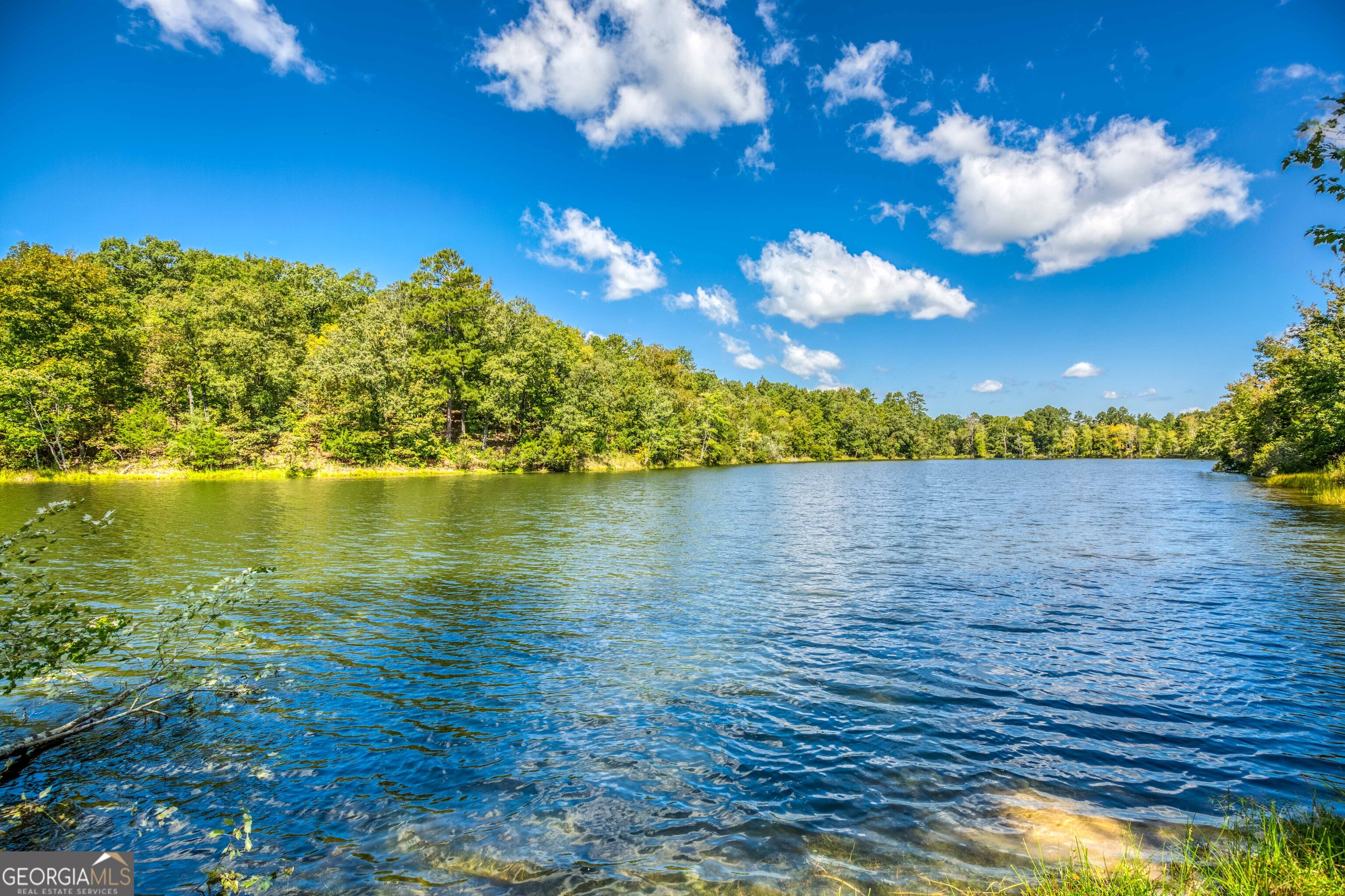 2688 Calhoun Falls Highway Elberton, GA 30635 - Photo 16 of 55 a view of a lake