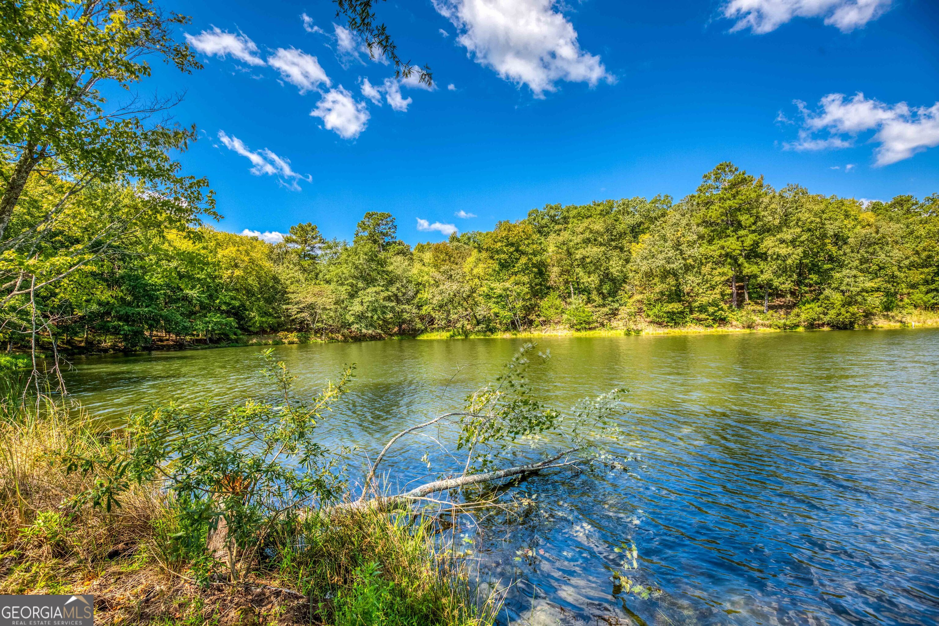 2688 Calhoun Falls Highway Elberton, GA 30635 - Photo 17 of 55 a view of an ocean from a balcony