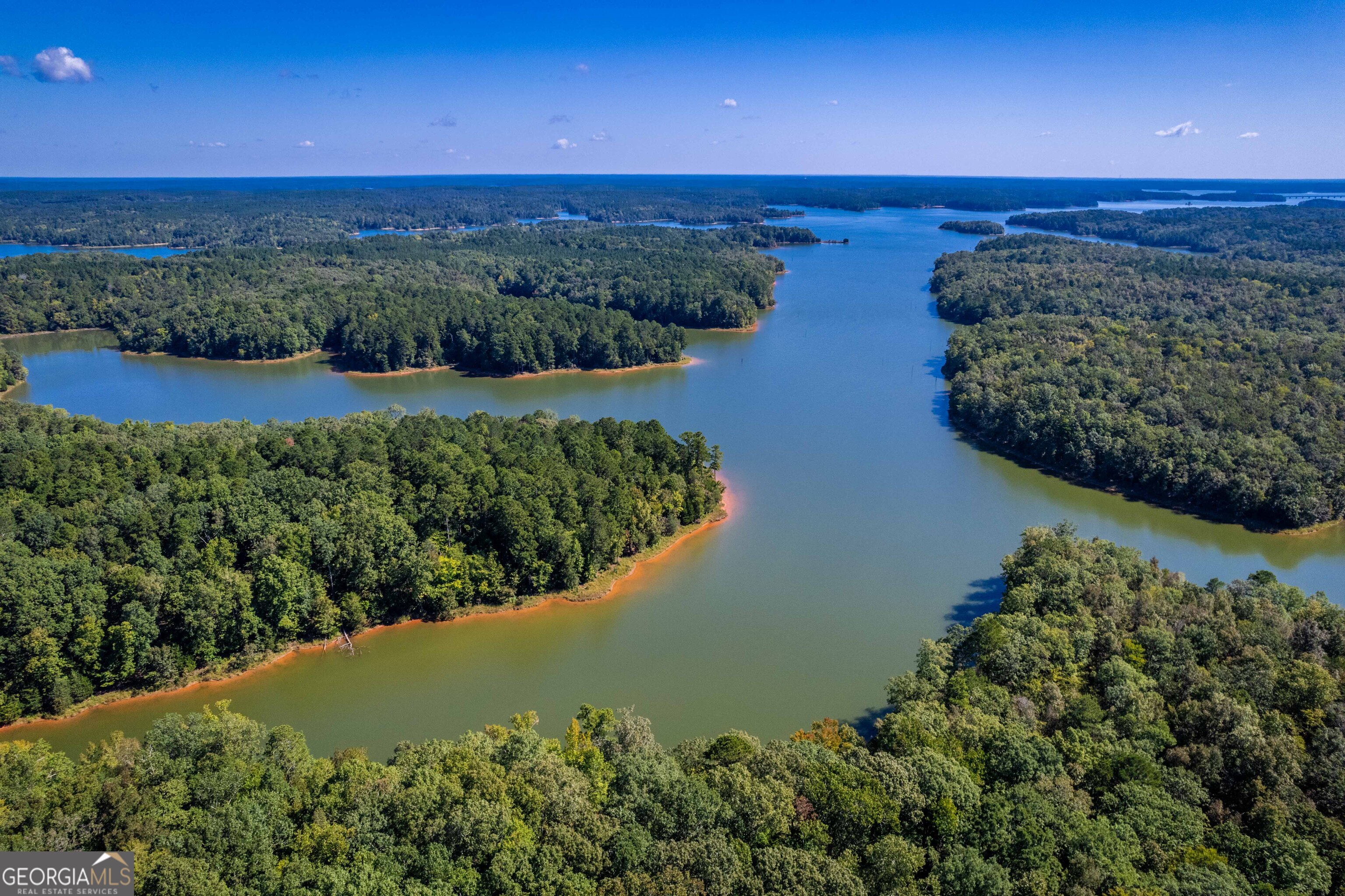 2688 Calhoun Falls Highway Elberton, GA 30635 - Photo 18 of 55 a view of a lake with a mountain in the background