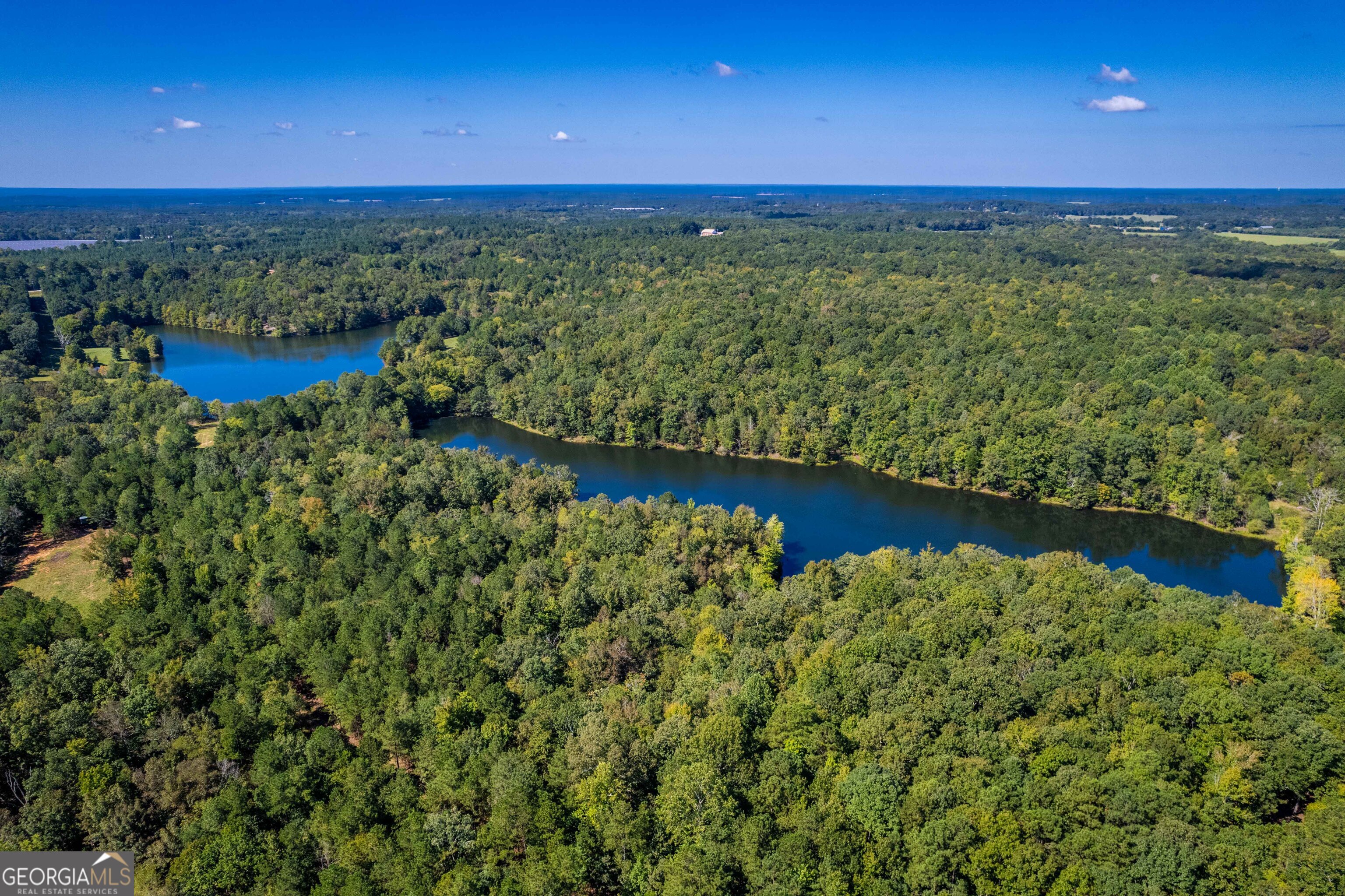 2688 Calhoun Falls Highway Elberton, GA 30635 - Photo 19 of 55 a view of a lake from a yard