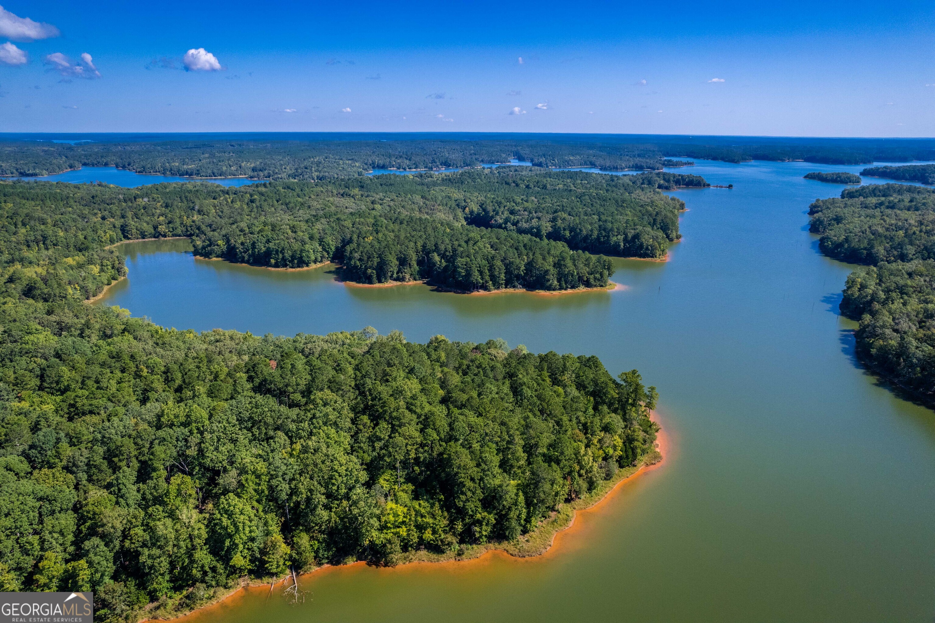 2688 Calhoun Falls Highway Elberton, GA 30635 - Photo 21 of 55 a view of a lake with a mountain in the background