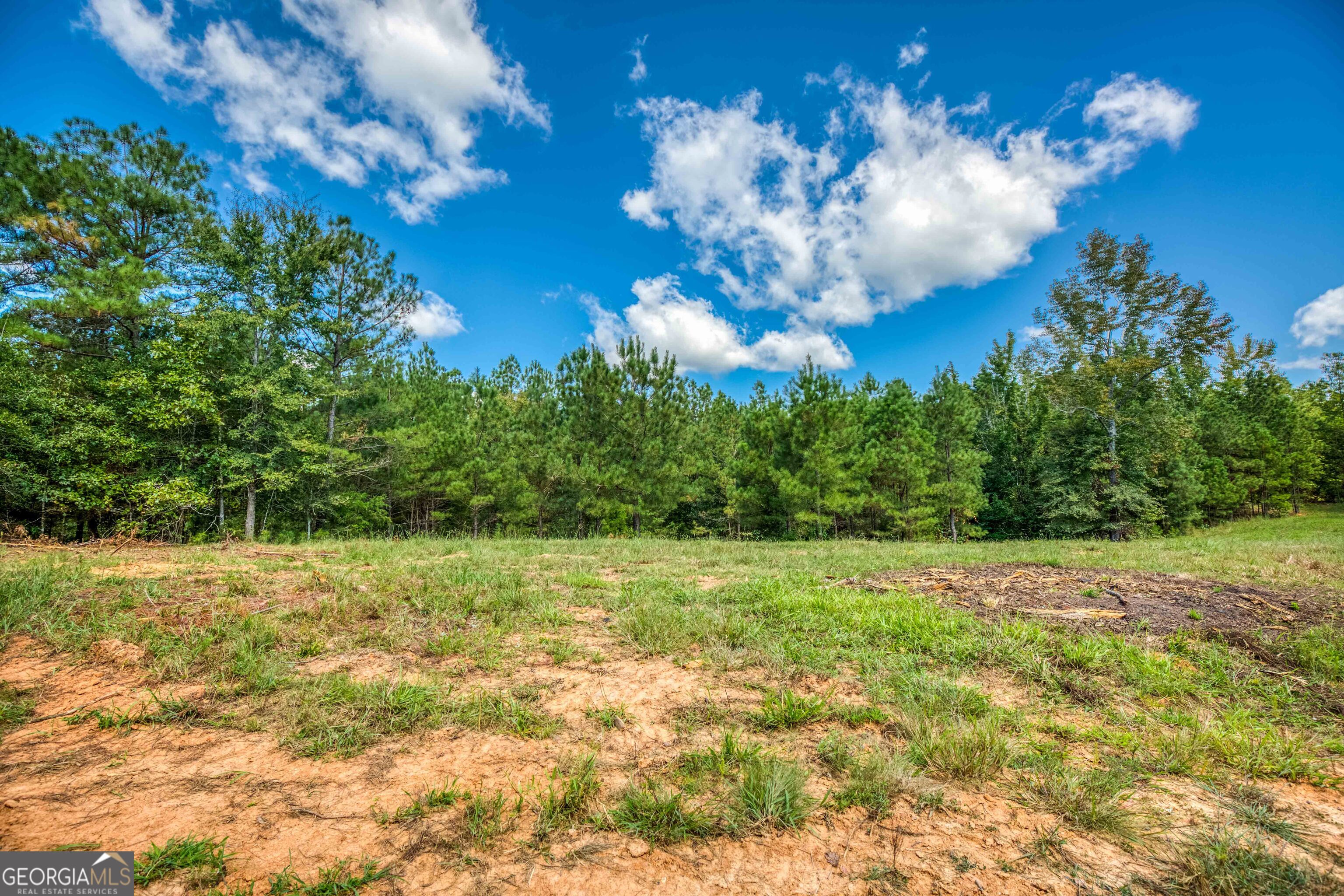 2688 Calhoun Falls Highway Elberton, GA 30635 - Photo 23 of 55 a view of a big yard with lots of green space and fog