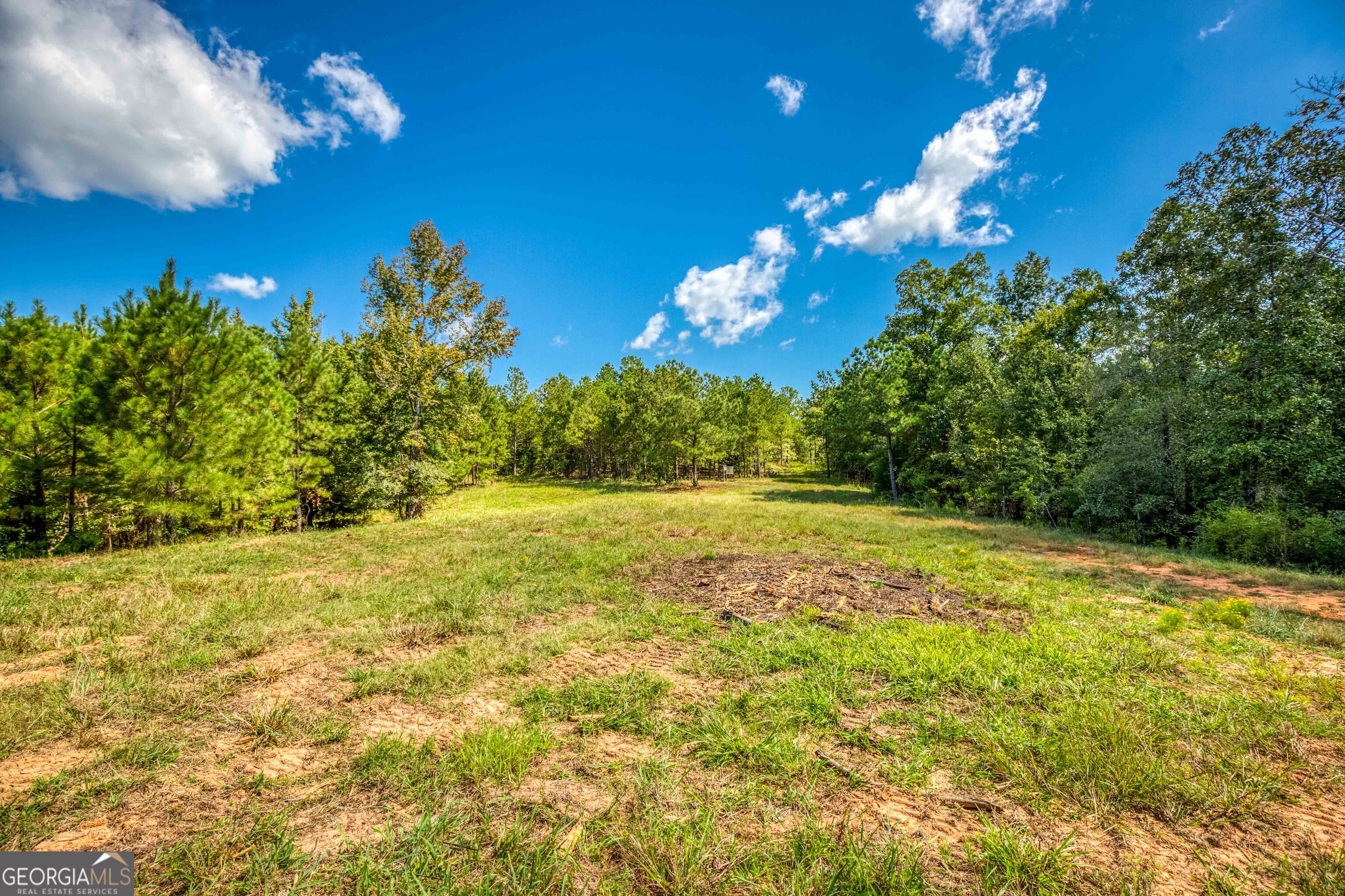 2688 Calhoun Falls Highway Elberton, GA 30635 - Photo 25 of 55