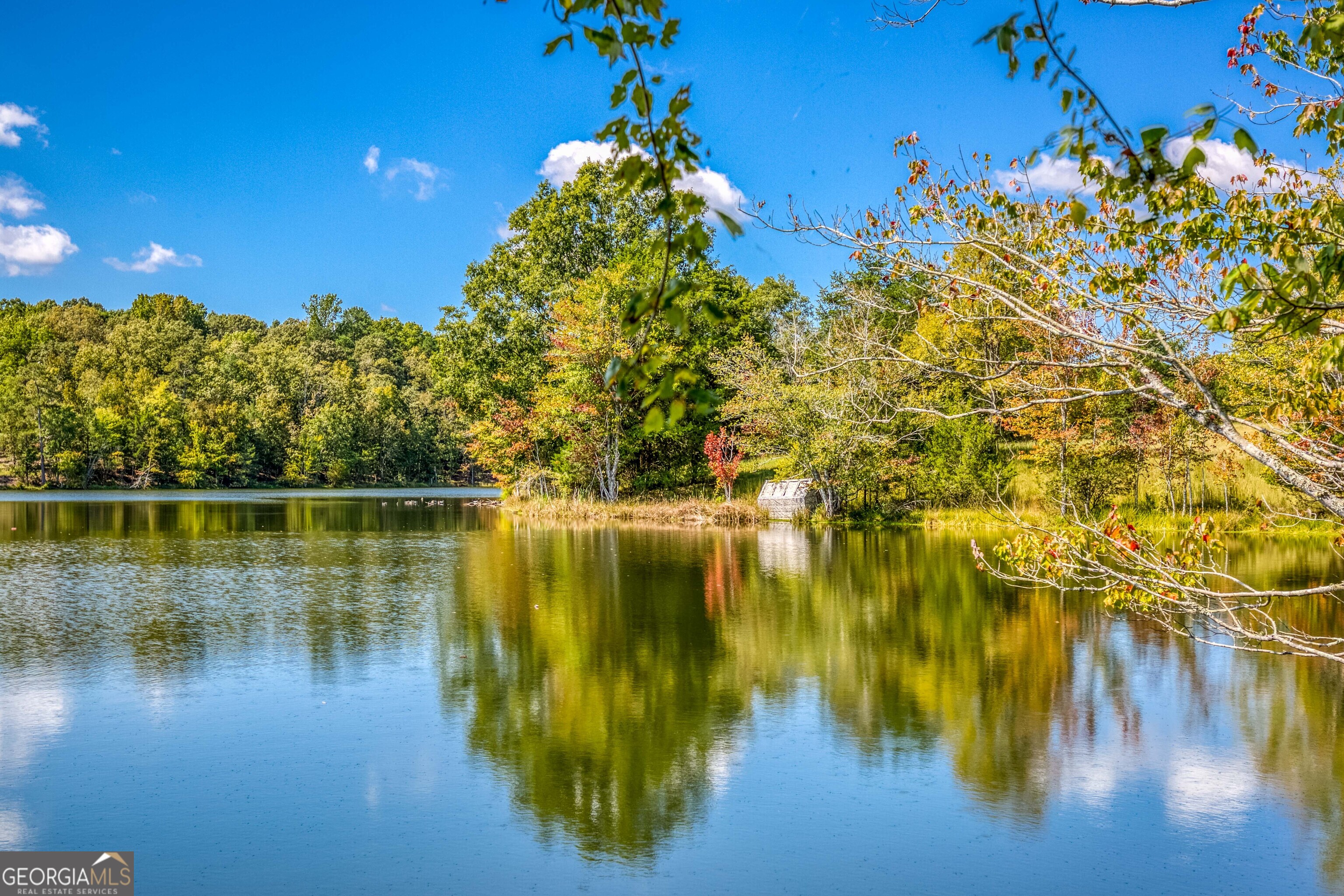 2688 Calhoun Falls Highway Elberton, GA 30635 - Photo 27 of 55 a view of lake