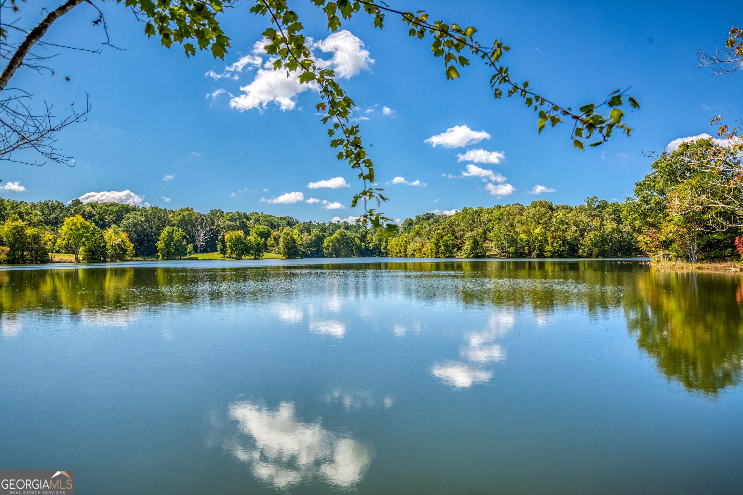 2688 Calhoun Falls Highway Elberton, GA 30635 - Photo 29 of 55 a view of a lake with a yard