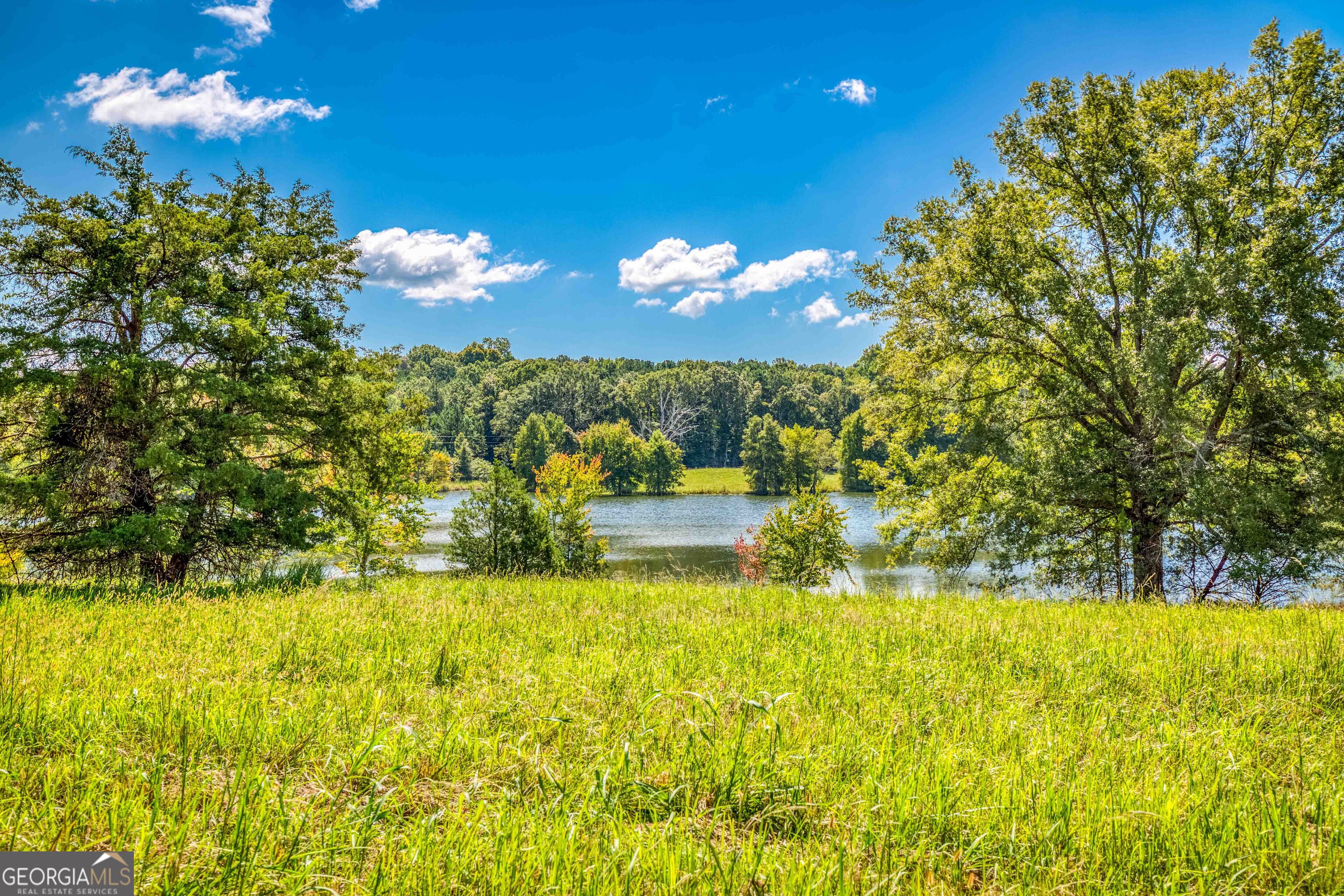 2688 Calhoun Falls Highway Elberton, GA 30635 - Photo 31 of 55 a view of a swimming pool with an outdoor space and seating area