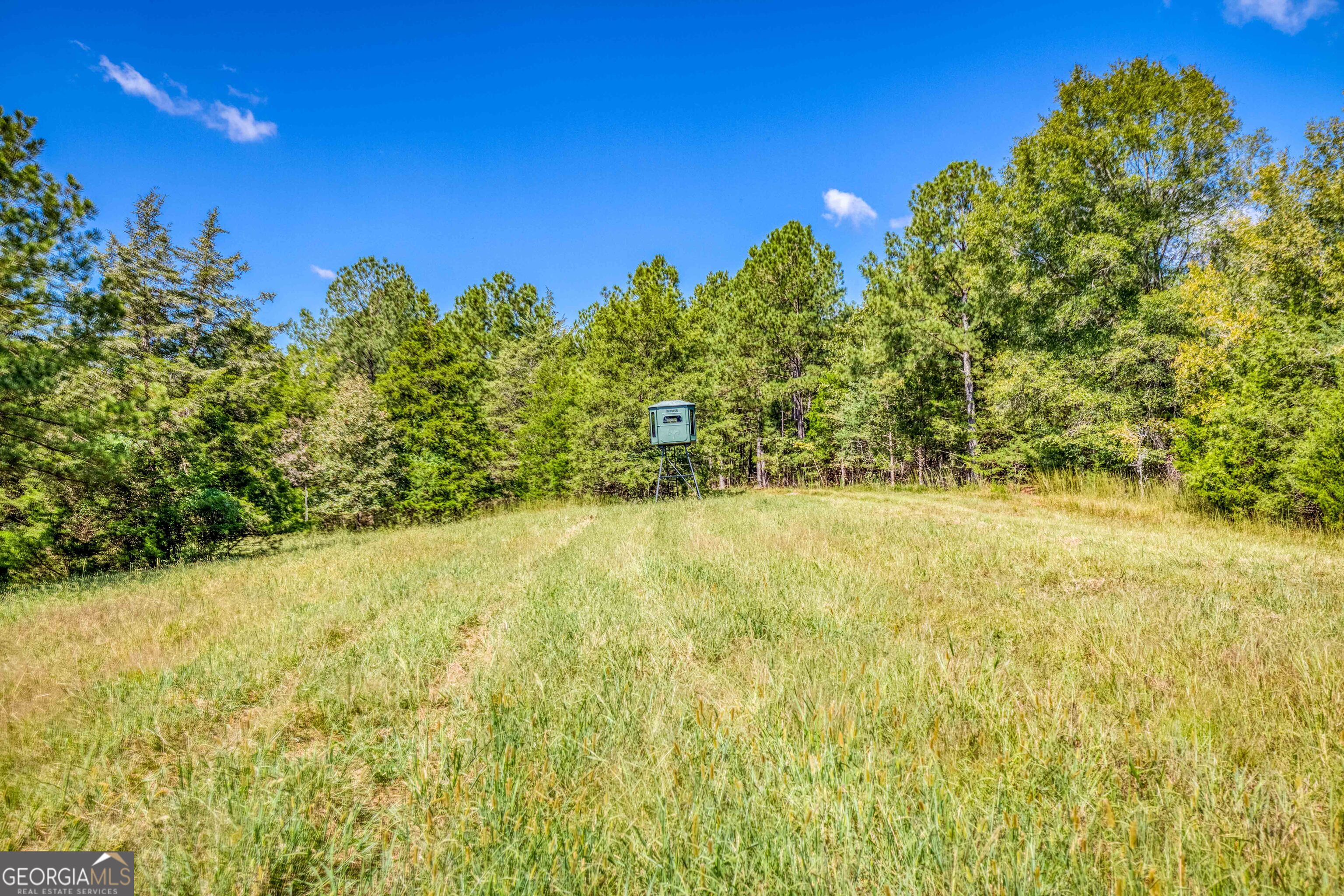 2688 Calhoun Falls Highway Elberton, GA 30635 - Photo 32 of 55 a view of a yard with an tree
