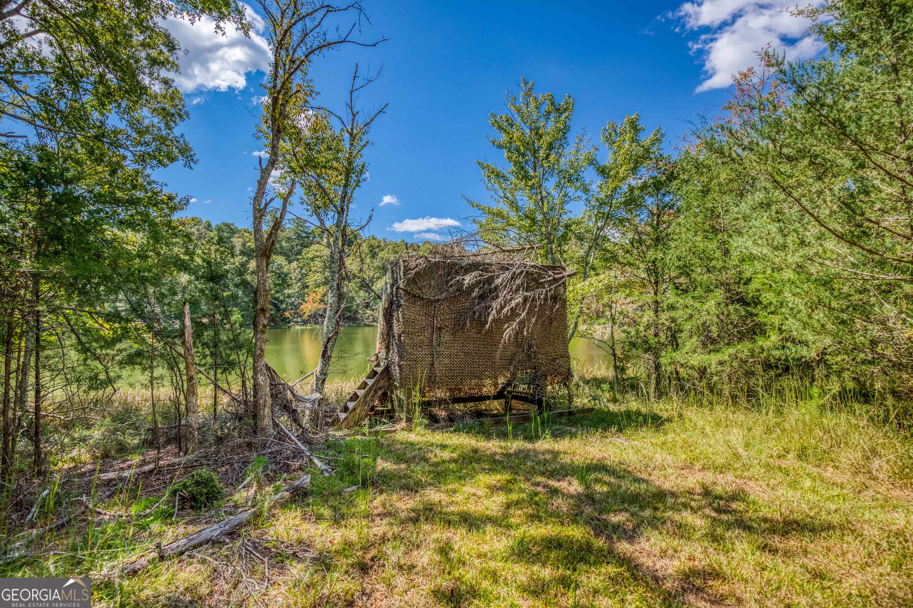 2688 Calhoun Falls Highway Elberton, GA 30635 - Photo 33 of 55 a view of a yard