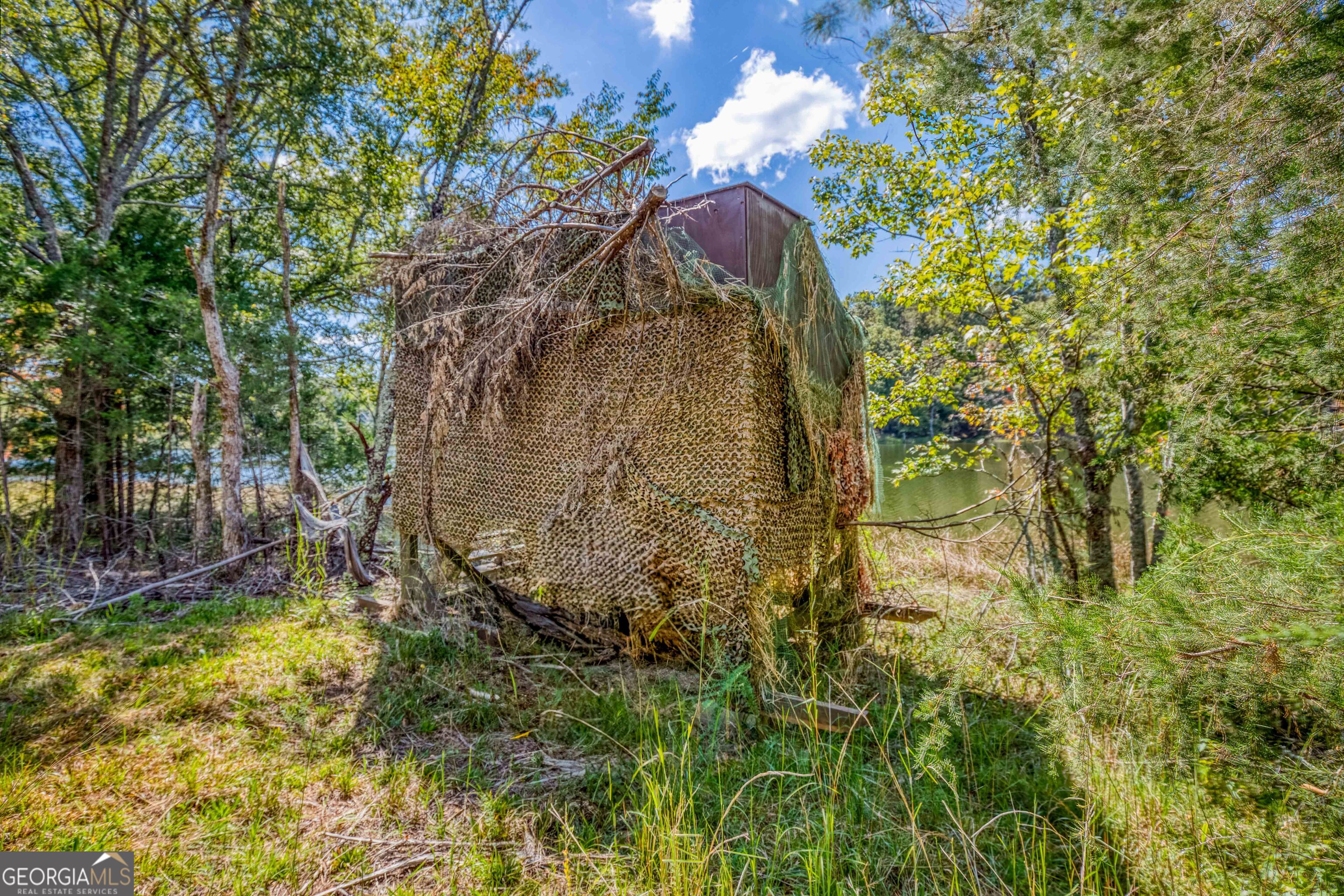 2688 Calhoun Falls Highway Elberton, GA 30635 - Photo 34 of 55 a view of a yard with large trees