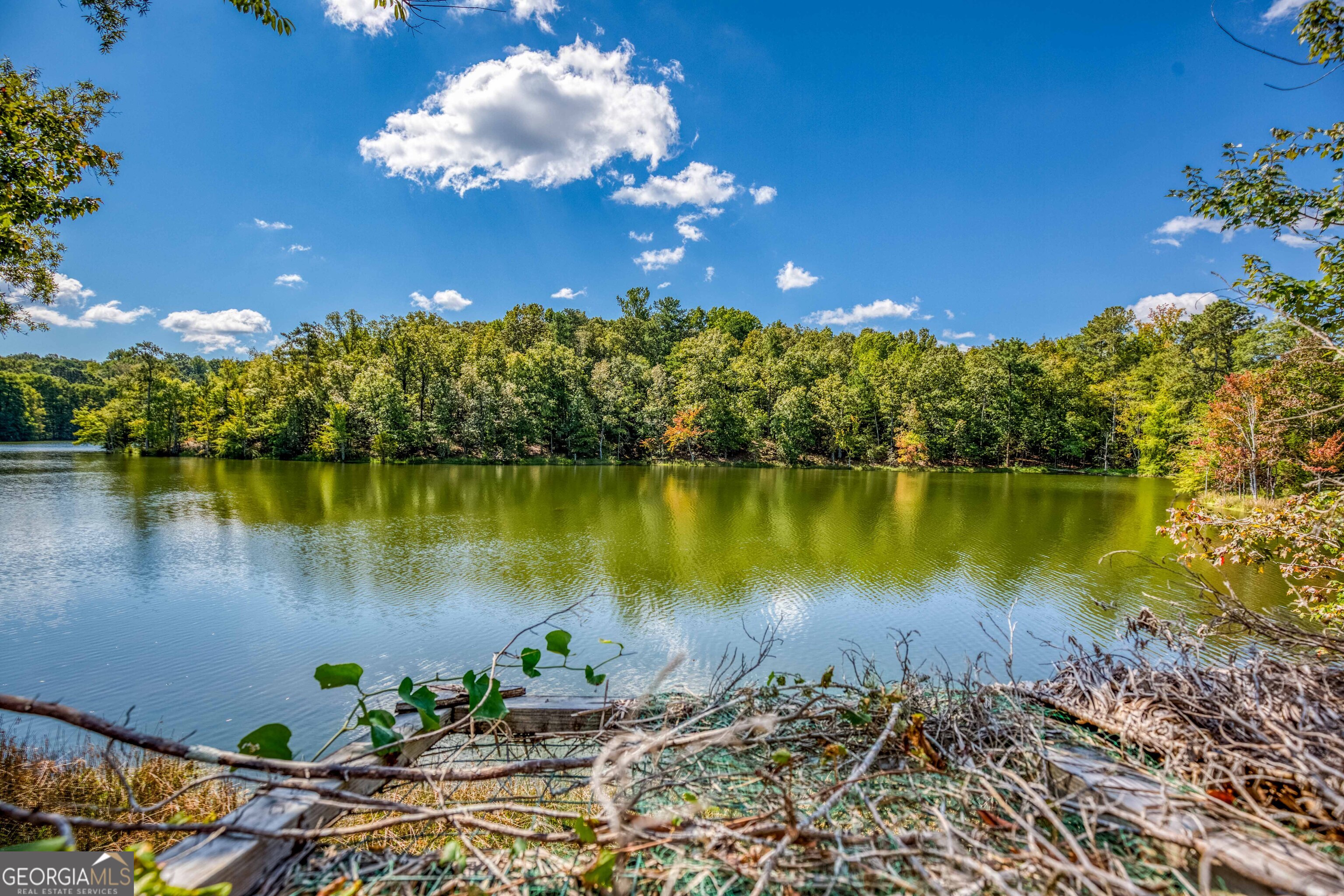 2688 Calhoun Falls Highway Elberton, GA 30635 - Photo 36 of 55 a view of a lake with a lake
