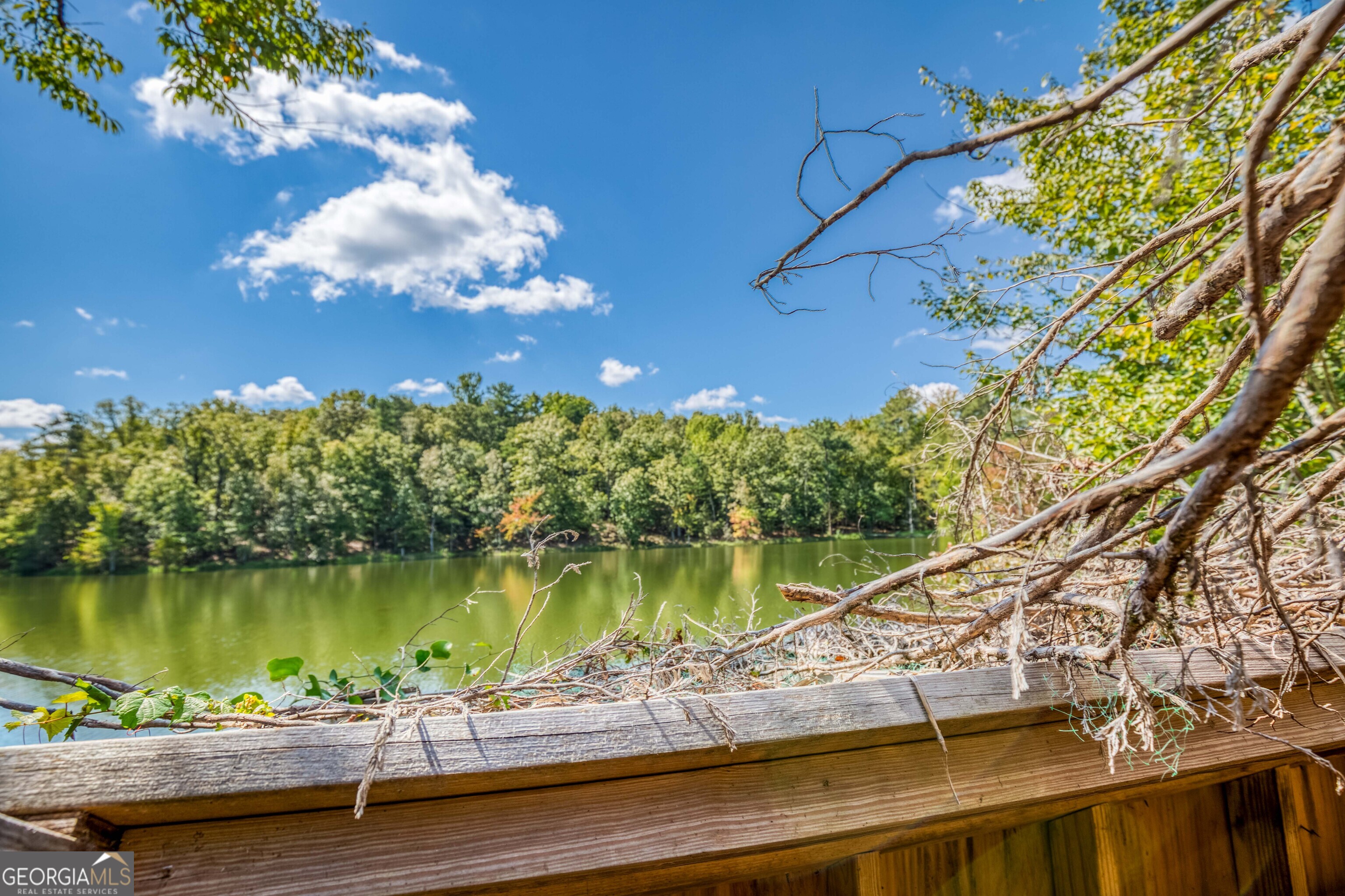 2688 Calhoun Falls Highway Elberton, GA 30635 - Photo 37 of 55 a view of a lake with a building in the background