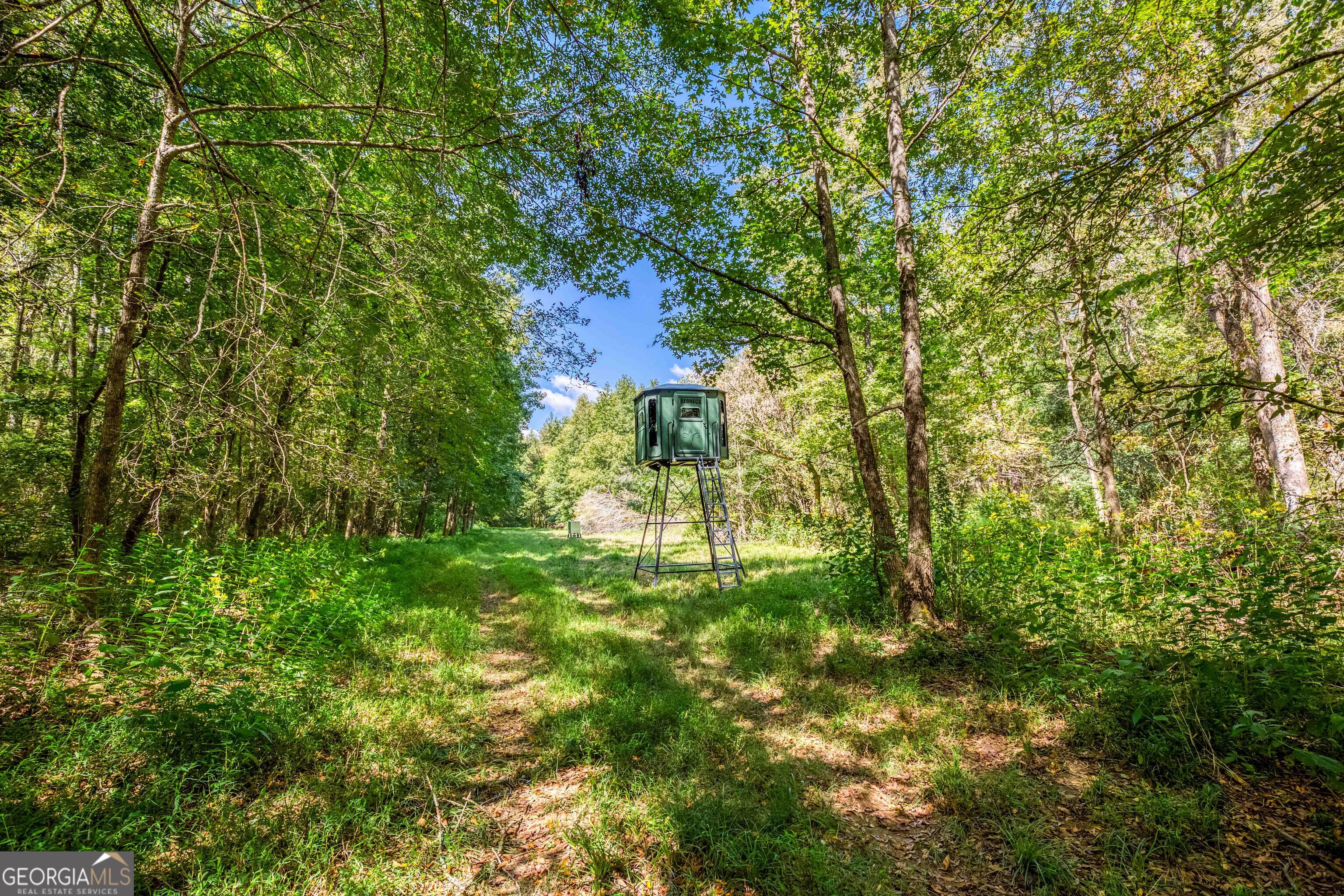 2688 Calhoun Falls Highway Elberton, GA 30635 - Photo 39 of 55 a backyard of a house with lots of green space