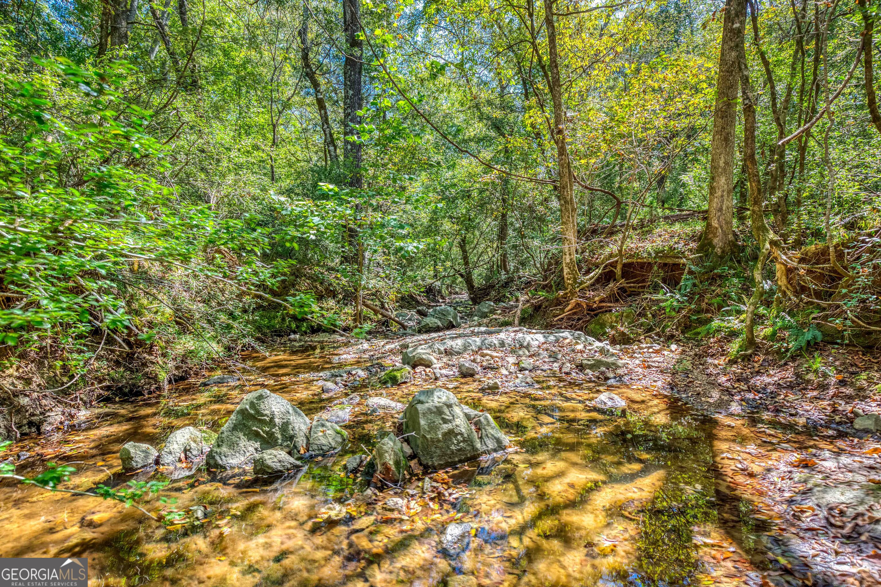 2688 Calhoun Falls Highway Elberton, GA 30635 - Photo 41 of 55 a view of a yard with a tree