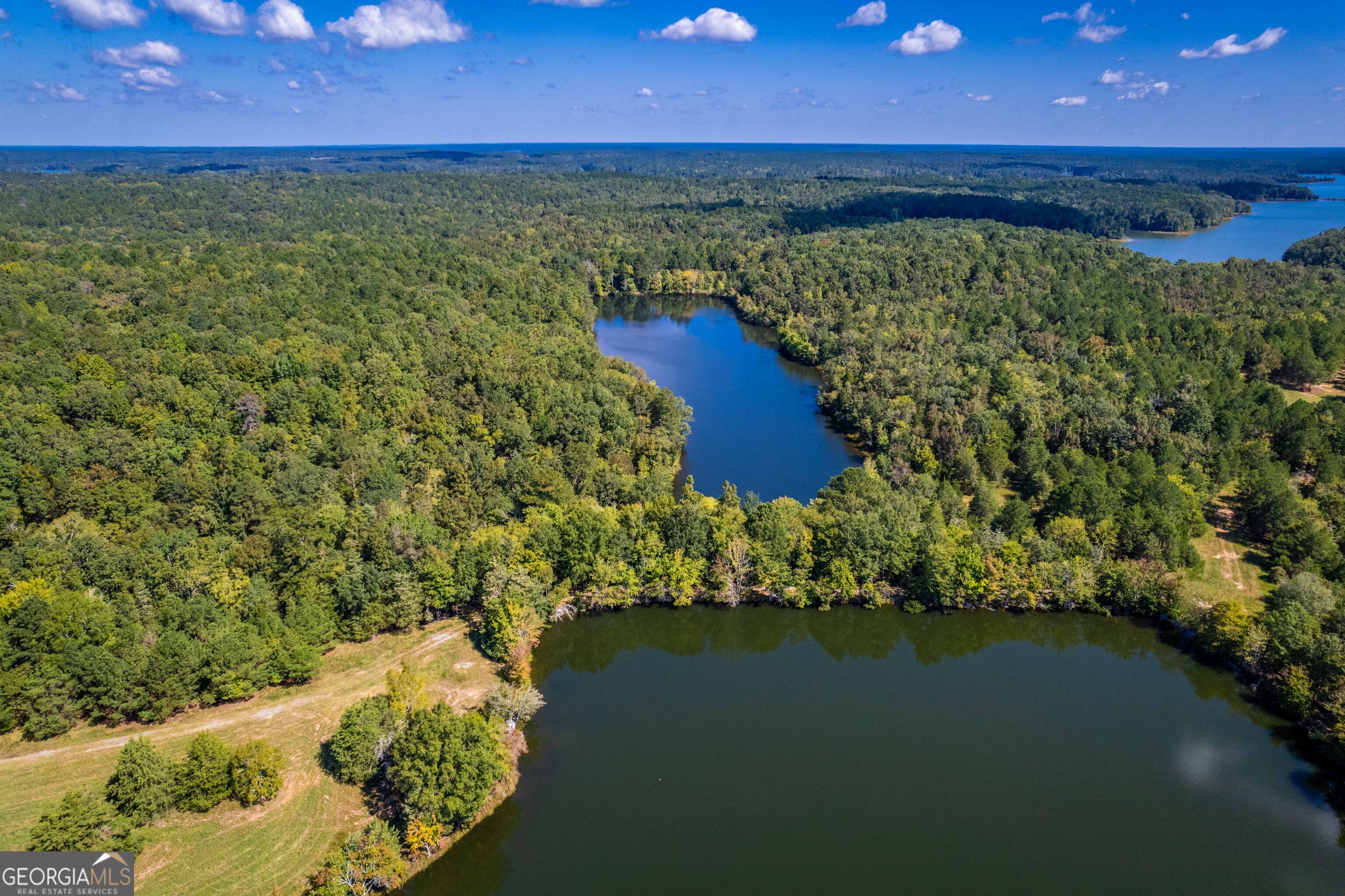 2688 Calhoun Falls Highway Elberton, GA 30635 - Photo 45 of 55 a aerial view of a house with a yard