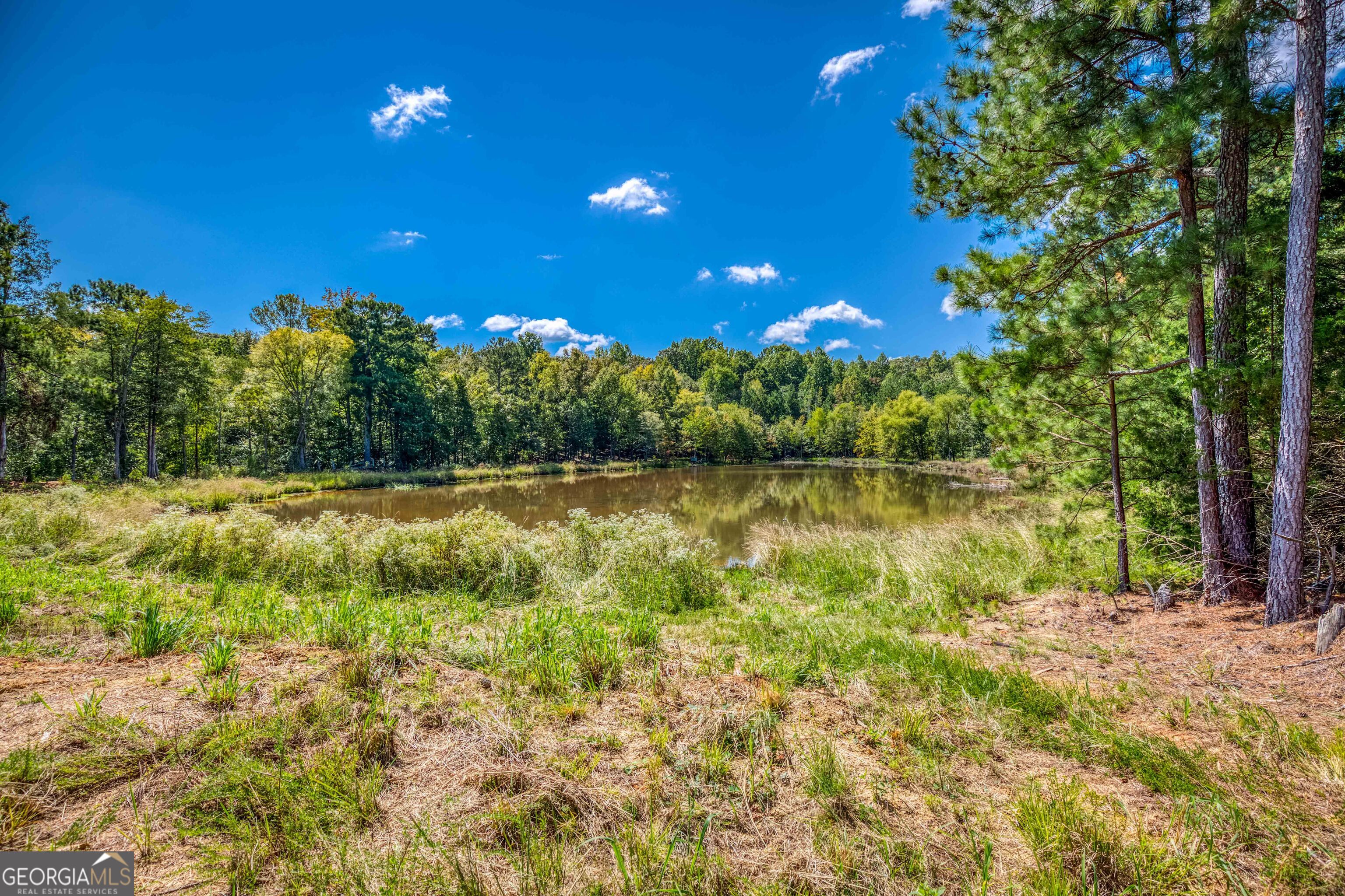 2688 Calhoun Falls Highway Elberton, GA 30635 - Photo 47 of 55 a view of a lake with a yard