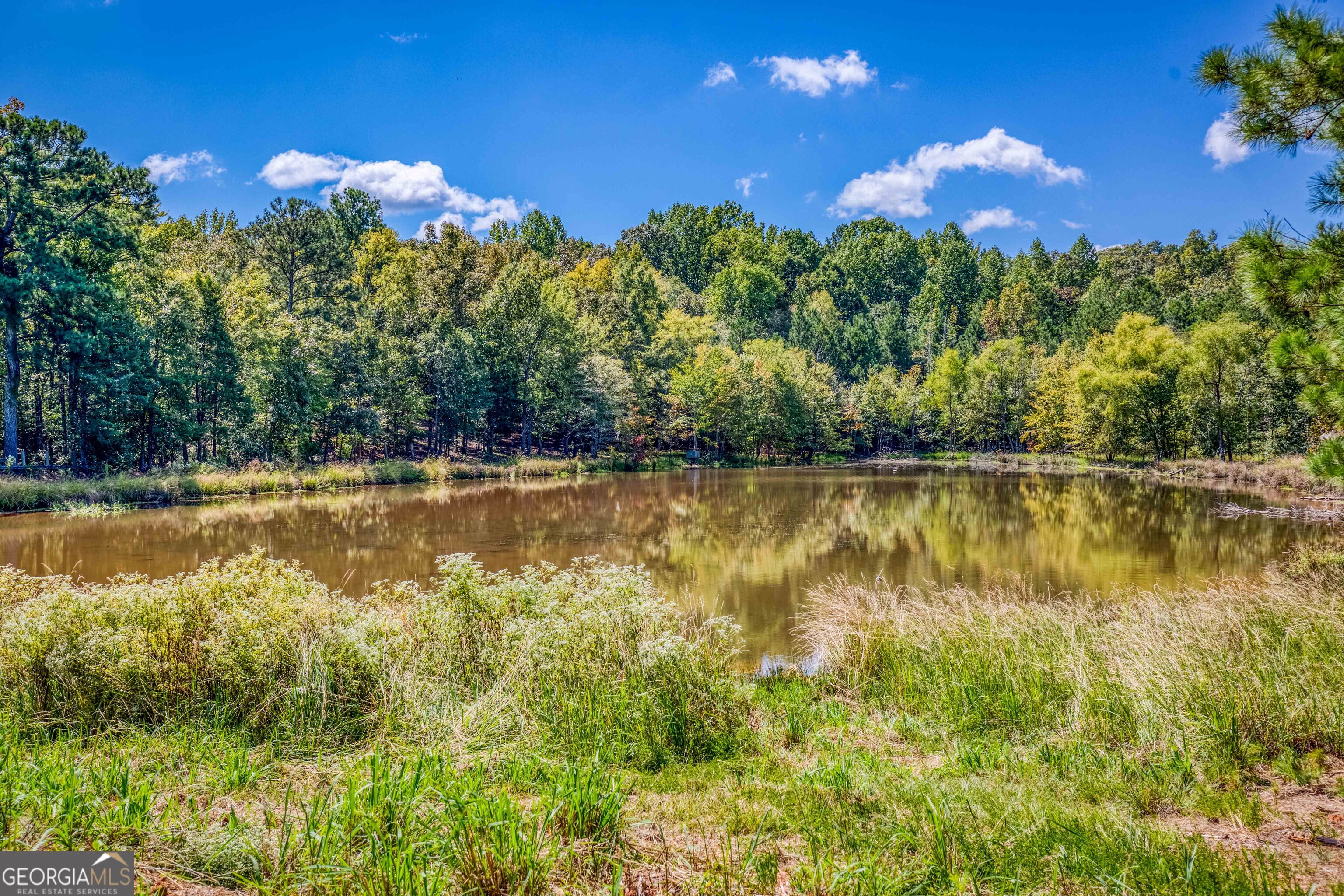 2688 Calhoun Falls Highway Elberton, GA 30635 - Photo 48 of 55 a view of a lake with a building in the background