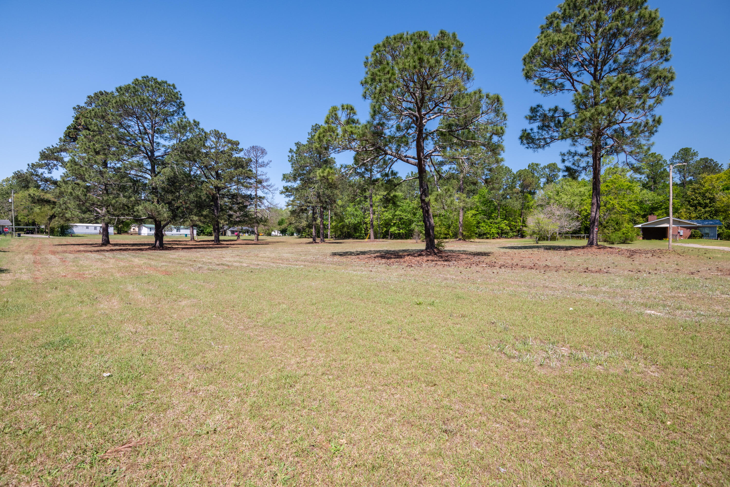 39 Gantt Street Wagener, SC 29164 - Photo 26 of 30 a backyard of a house with lots of green space and fountain