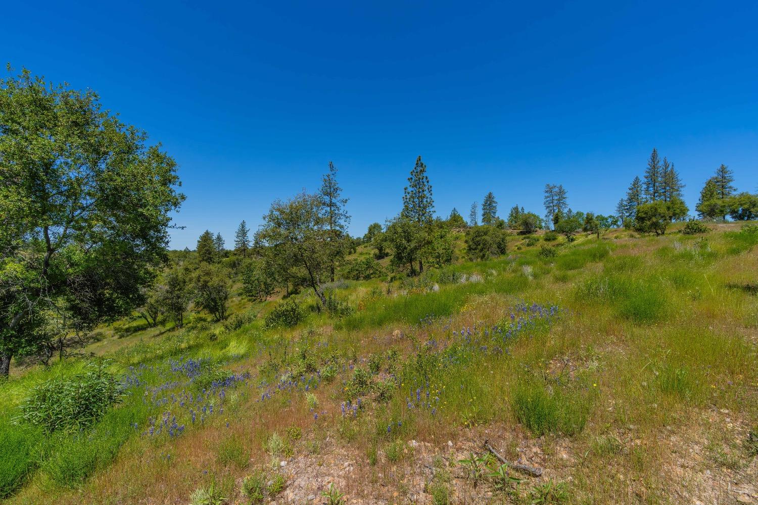 12377 Twin Pines Road Sutter Creek, CA 95685 - Photo 22 of 57 Gallery Image 22