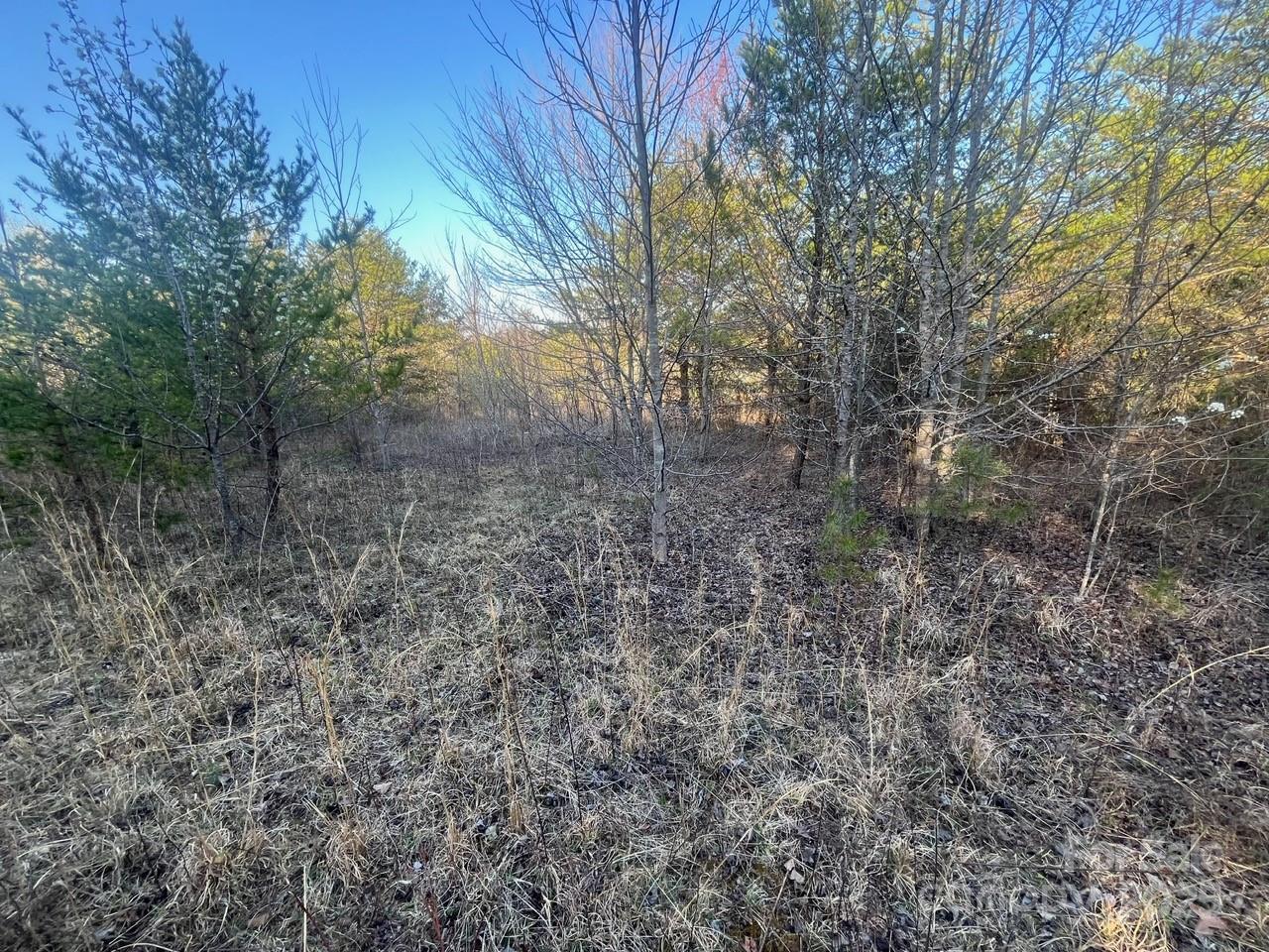V/l Pinnacle Church Road Nebo, NC 28761 - Photo 13 of 32 a view of a yard with trees