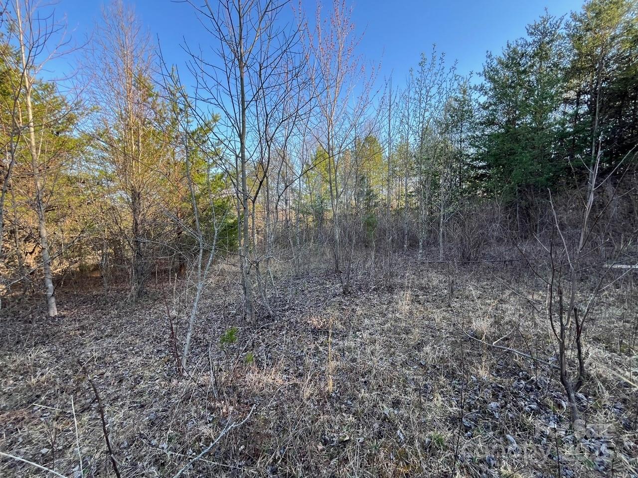 V/l Pinnacle Church Road Nebo, NC 28761 - Photo 17 of 32 a view of a forest with trees in the background