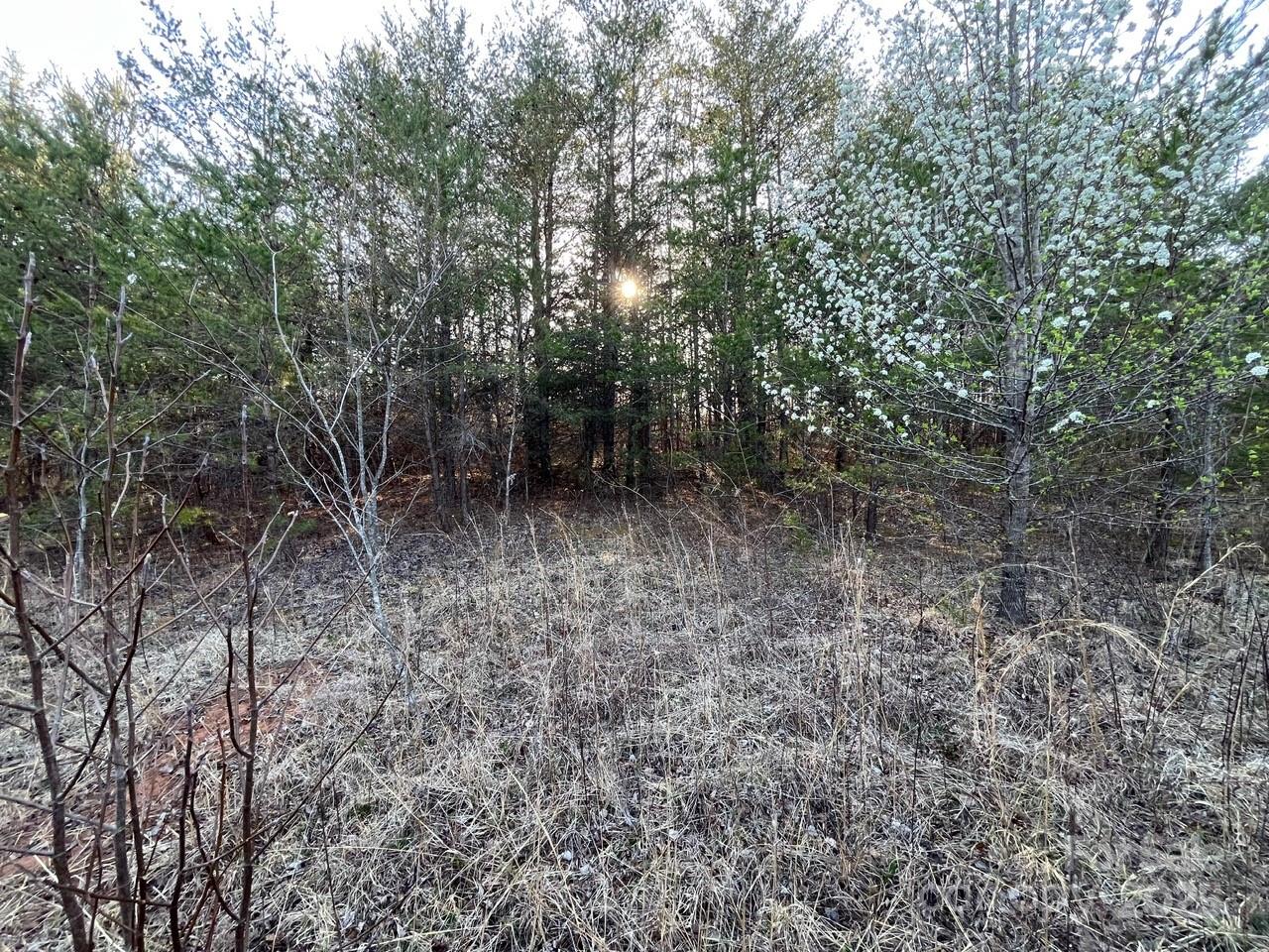 V/l Pinnacle Church Road Nebo, NC 28761 - Photo 18 of 32 a view of a forest with trees in the background