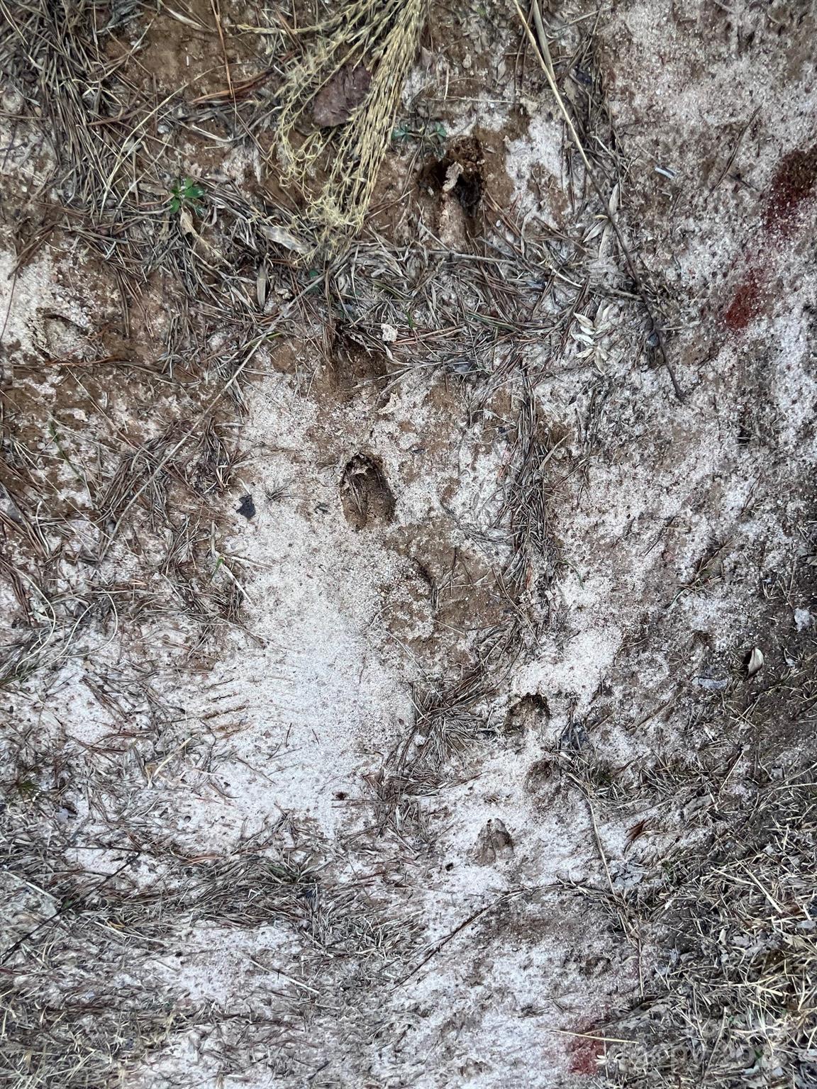 V/l Pinnacle Church Road Nebo, NC 28761 - Photo 25 of 32