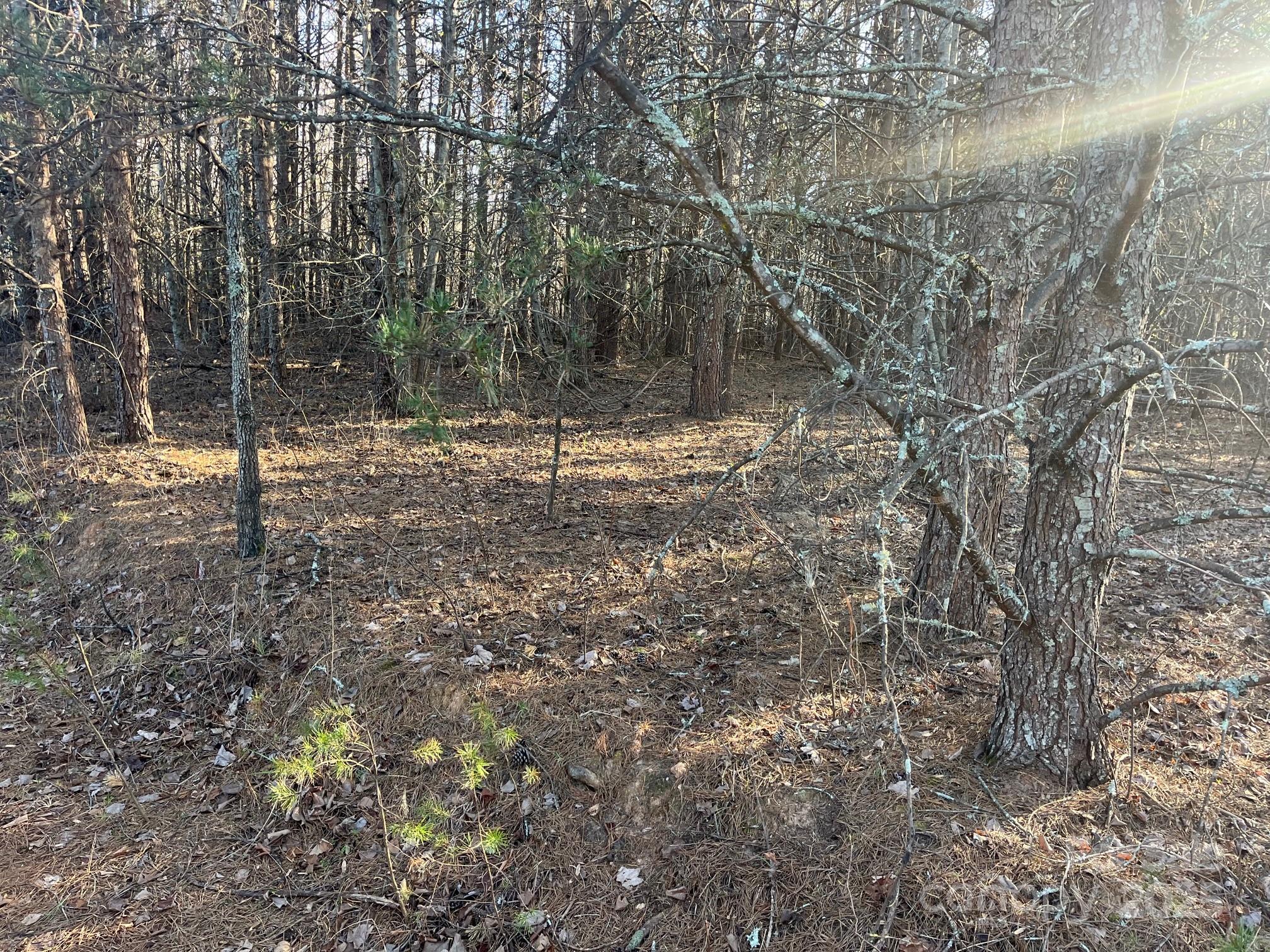 V/l Pinnacle Church Road Nebo, NC 28761 - Photo 27 of 32 a backyard of a house with lots of green space