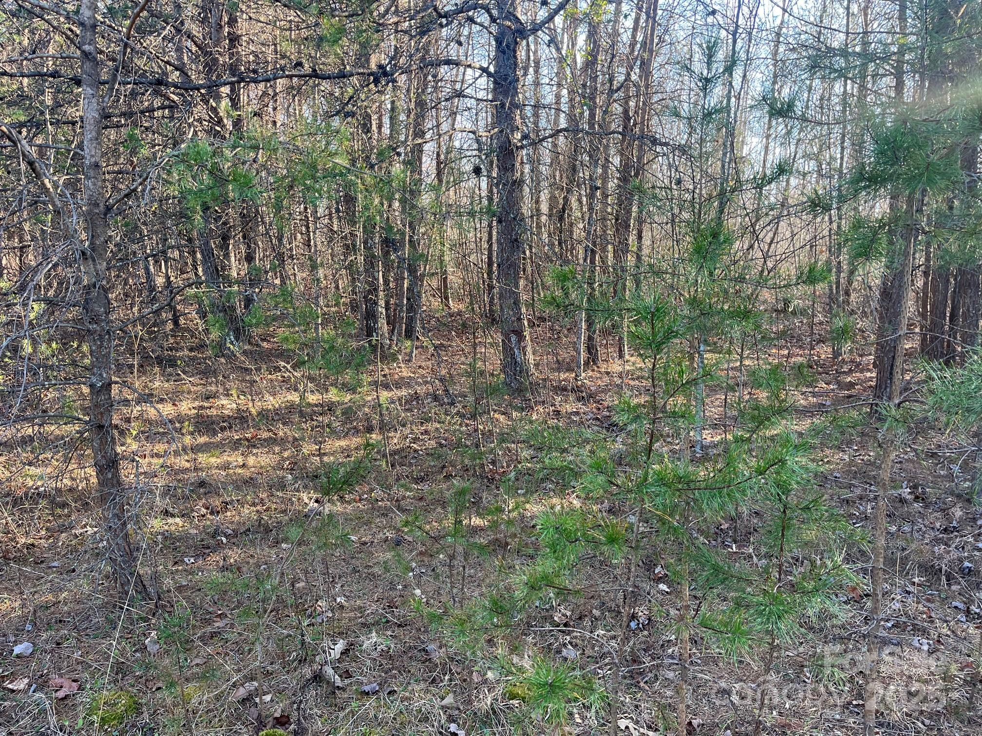 V/l Pinnacle Church Road Nebo, NC 28761 - Photo 30 of 32 a backyard of a house with lots of green space