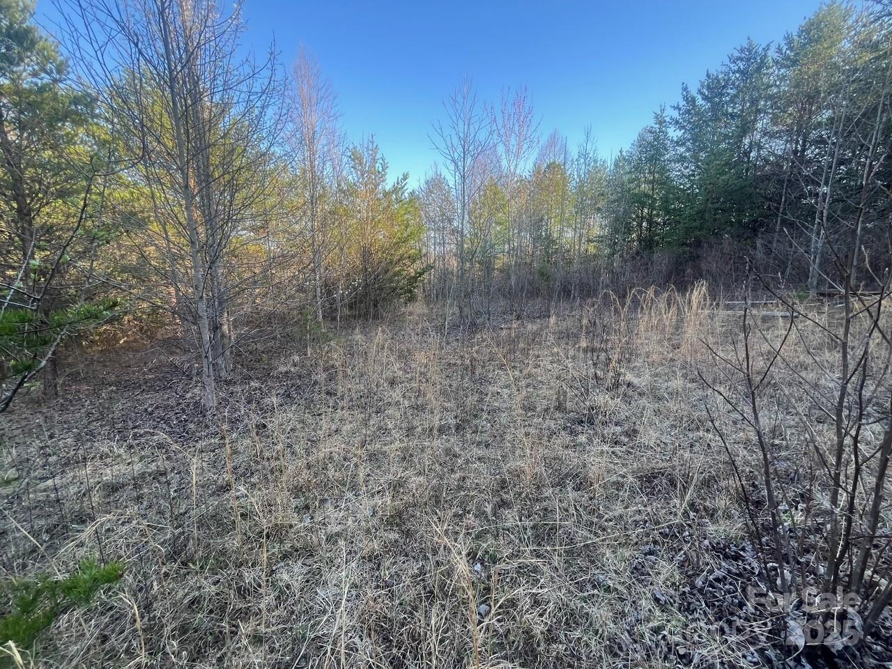 V/l Pinnacle Church Road Nebo, NC 28761 - Photo 7 of 32 a view of a forest with trees in the background