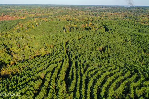 $341,692 | 1 County Road 107, Pittsboro, MS 38951