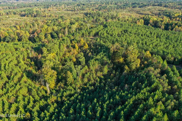 $341,692 | 1 County Road 107, Pittsboro, MS 38951