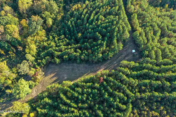 $341,692 | 1 County Road 107, Pittsboro, MS 38951