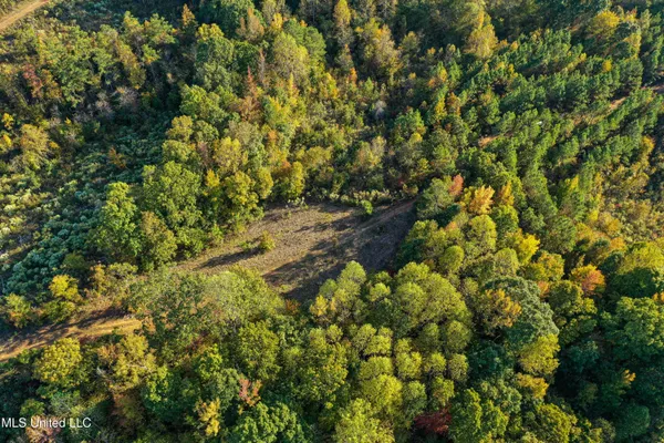 $341,692 | 1 County Road 107, Pittsboro, MS 38951