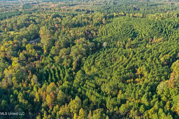 $341,692 | 1 County Road 107, Pittsboro, MS 38951