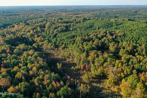 $341,692 | 1 County Road 107, Pittsboro, MS 38951