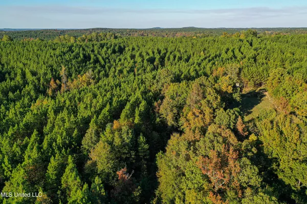 $341,692 | 1 County Road 107, Pittsboro, MS 38951