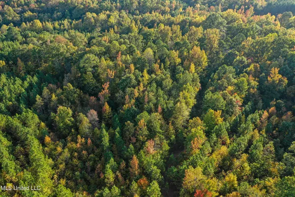 $341,692 | 1 County Road 107, Pittsboro, MS 38951