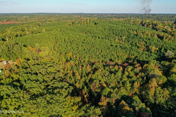 $341,692 | 1 County Road 107, Pittsboro, MS 38951