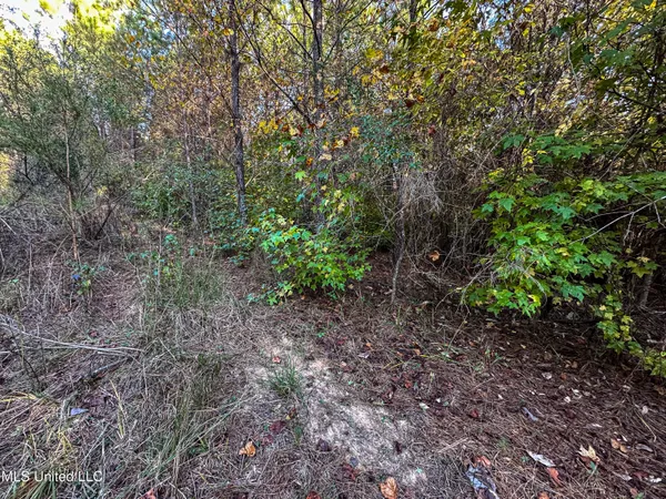 $341,692 | 1 County Road 107, Pittsboro, MS 38951