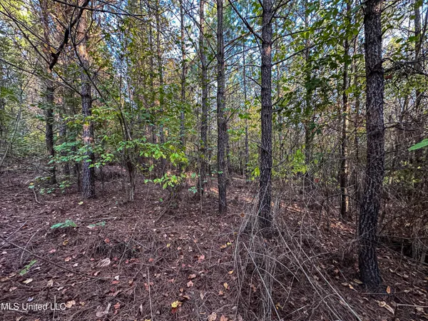 $341,692 | 1 County Road 107, Pittsboro, MS 38951