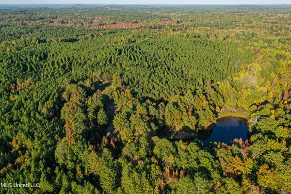 $341,692 | 1 County Road 107, Pittsboro, MS 38951