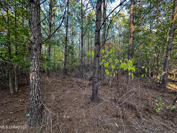 $341,692 | 1 County Road 107, Pittsboro, MS 38951